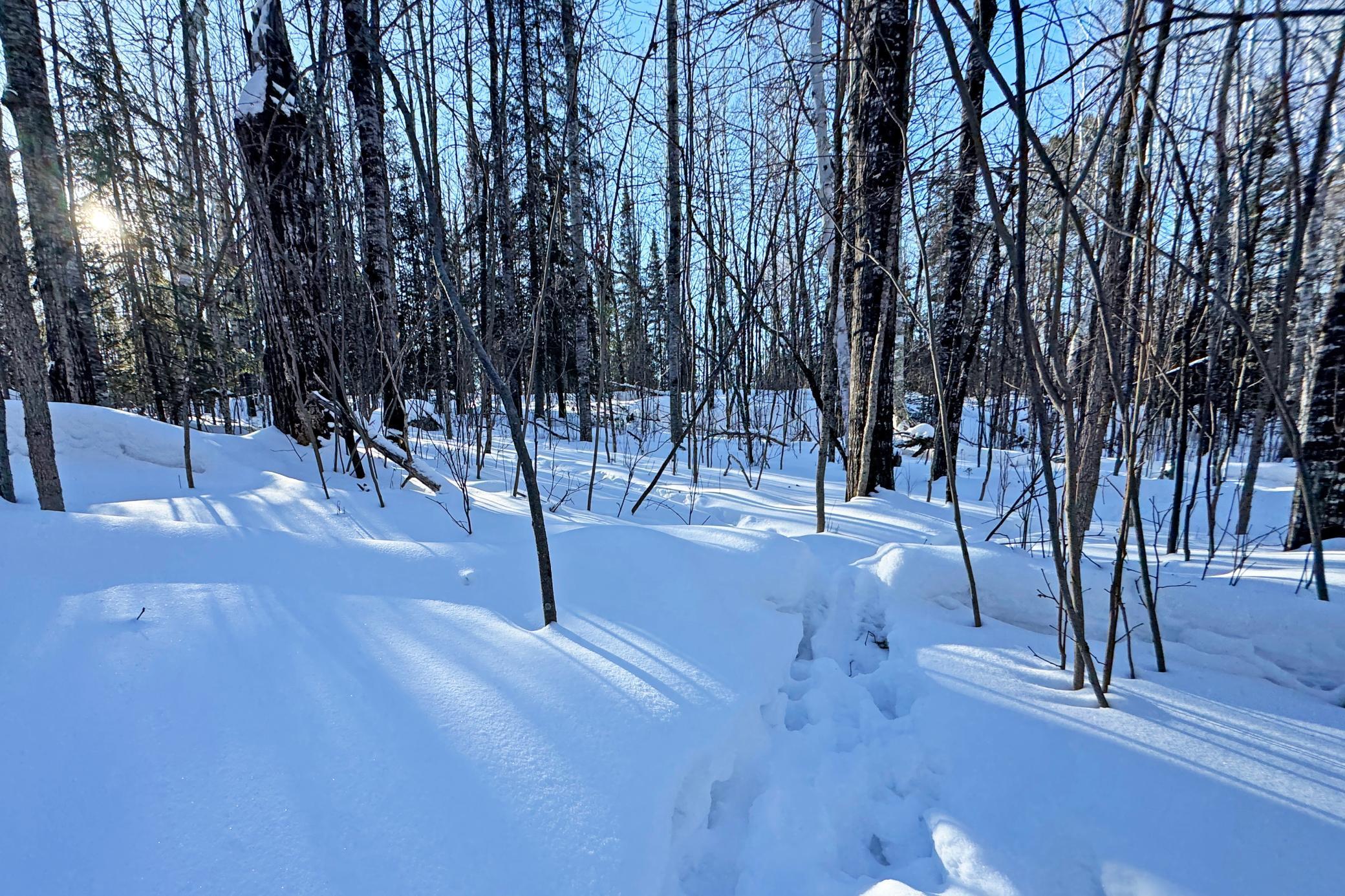 0 Fectos Road Tower, MN 55790 - Photo 46 of 48