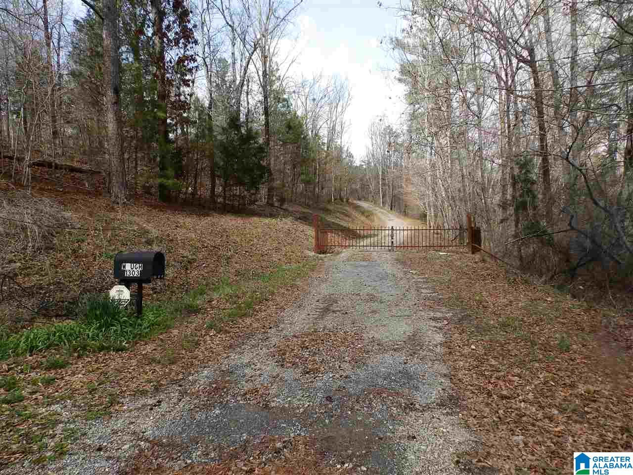 1303 Reid Road Remlap, AL 35133 - Photo 2 of 46 Gallery Image 2