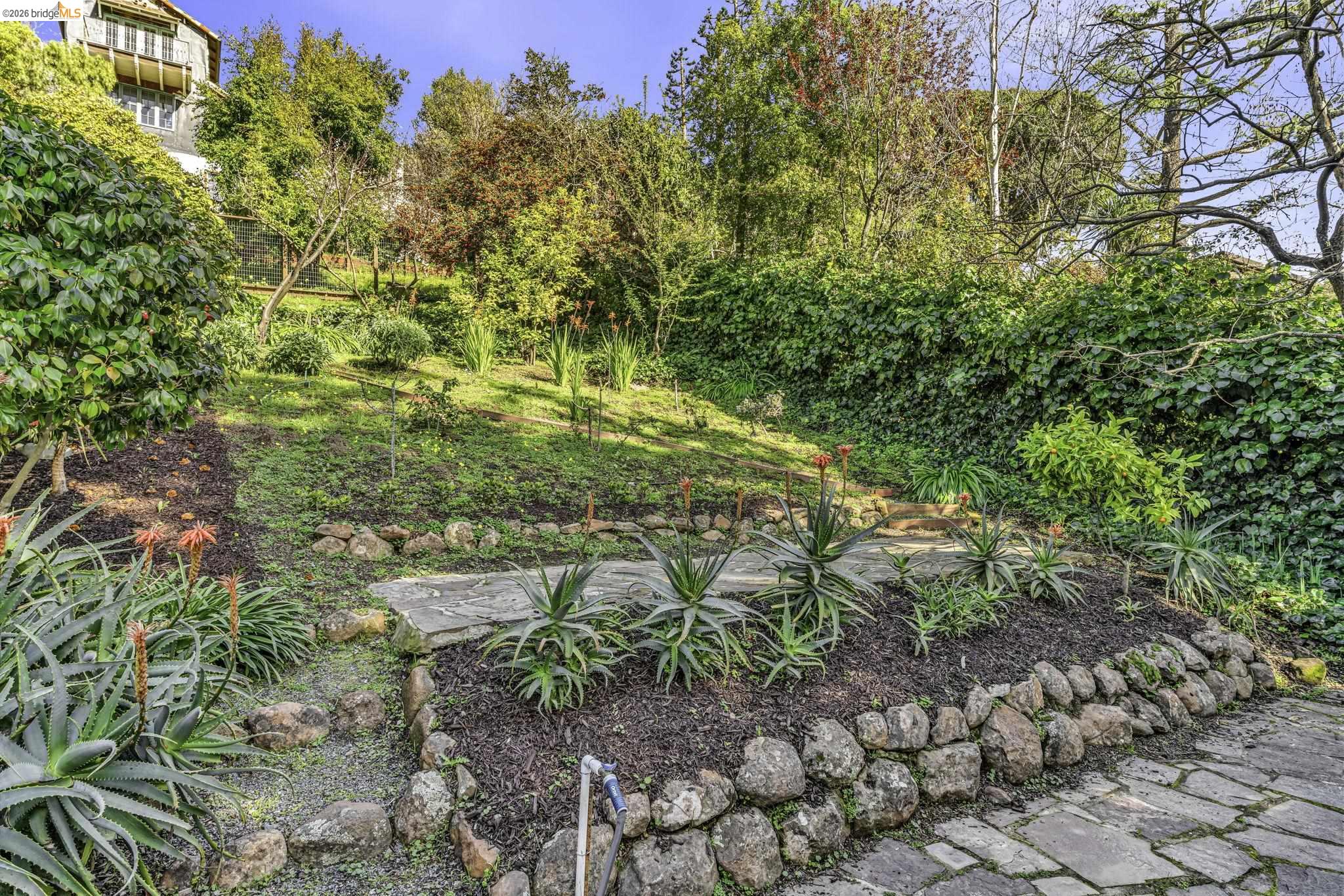 641 Alvarado Road Berkeley, CA 94705 - Photo 53 of 60