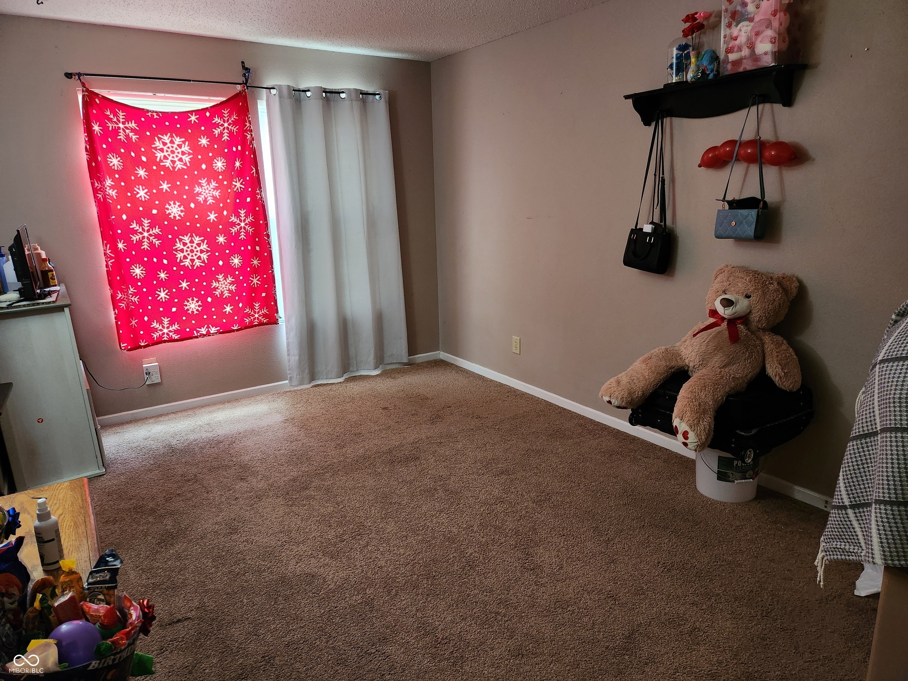 854 Saraina Road Shelbyville, IN 46176 - Photo 19 of 24