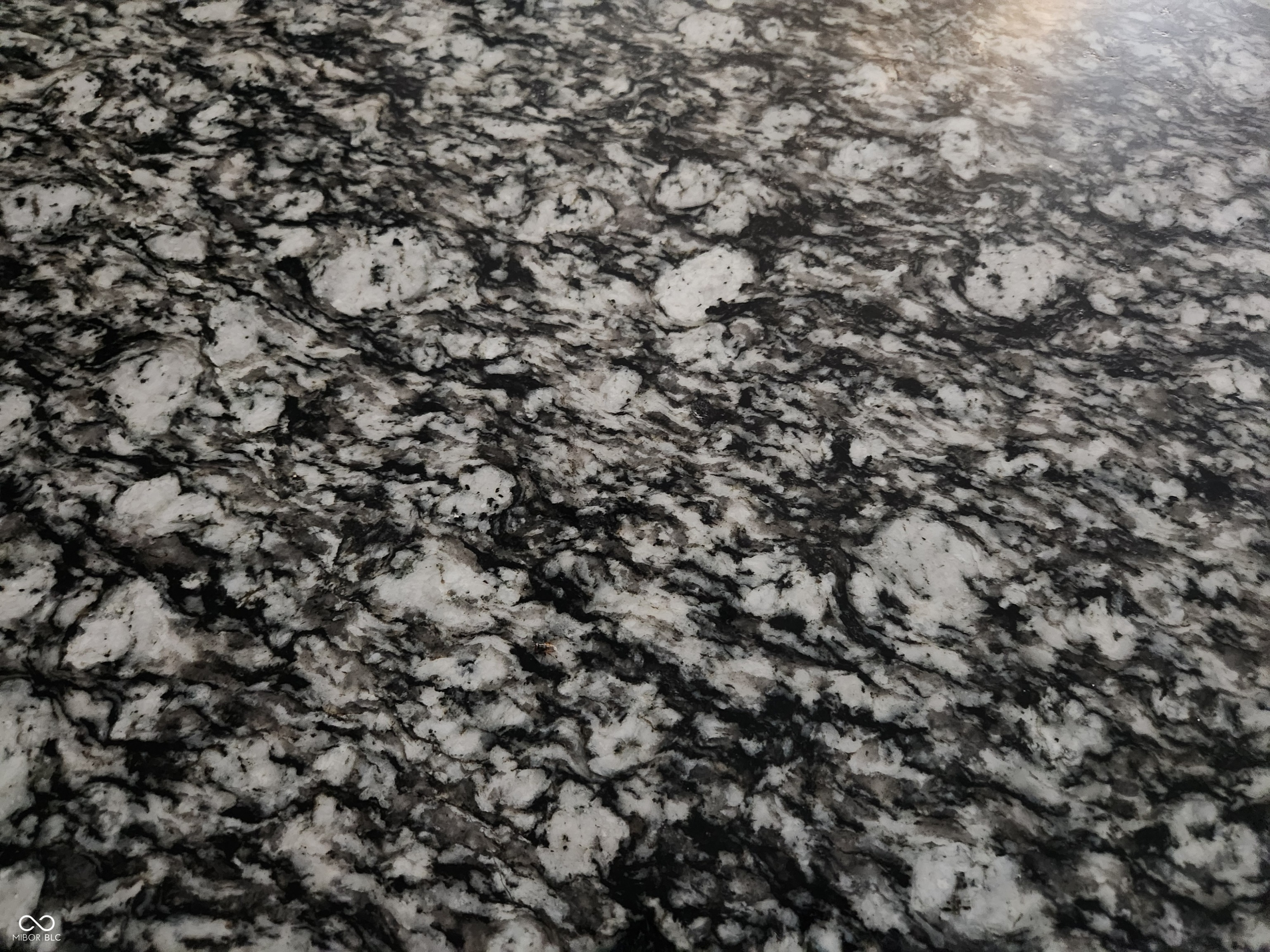 854 Saraina Road Shelbyville, IN 46176 - Photo 8 of 24