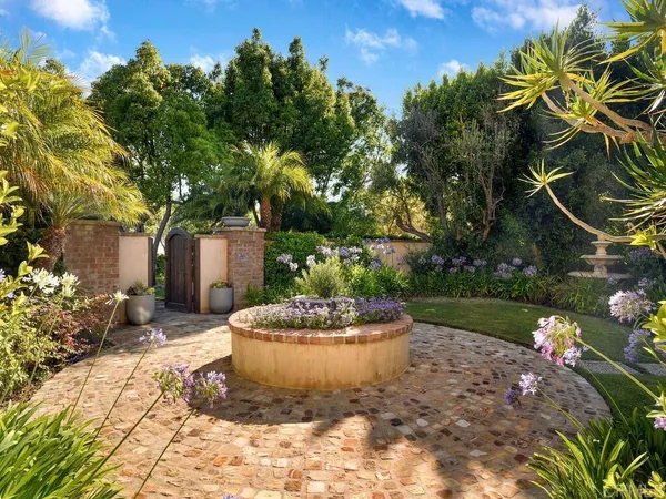 a view of a backyard with plants and a garden