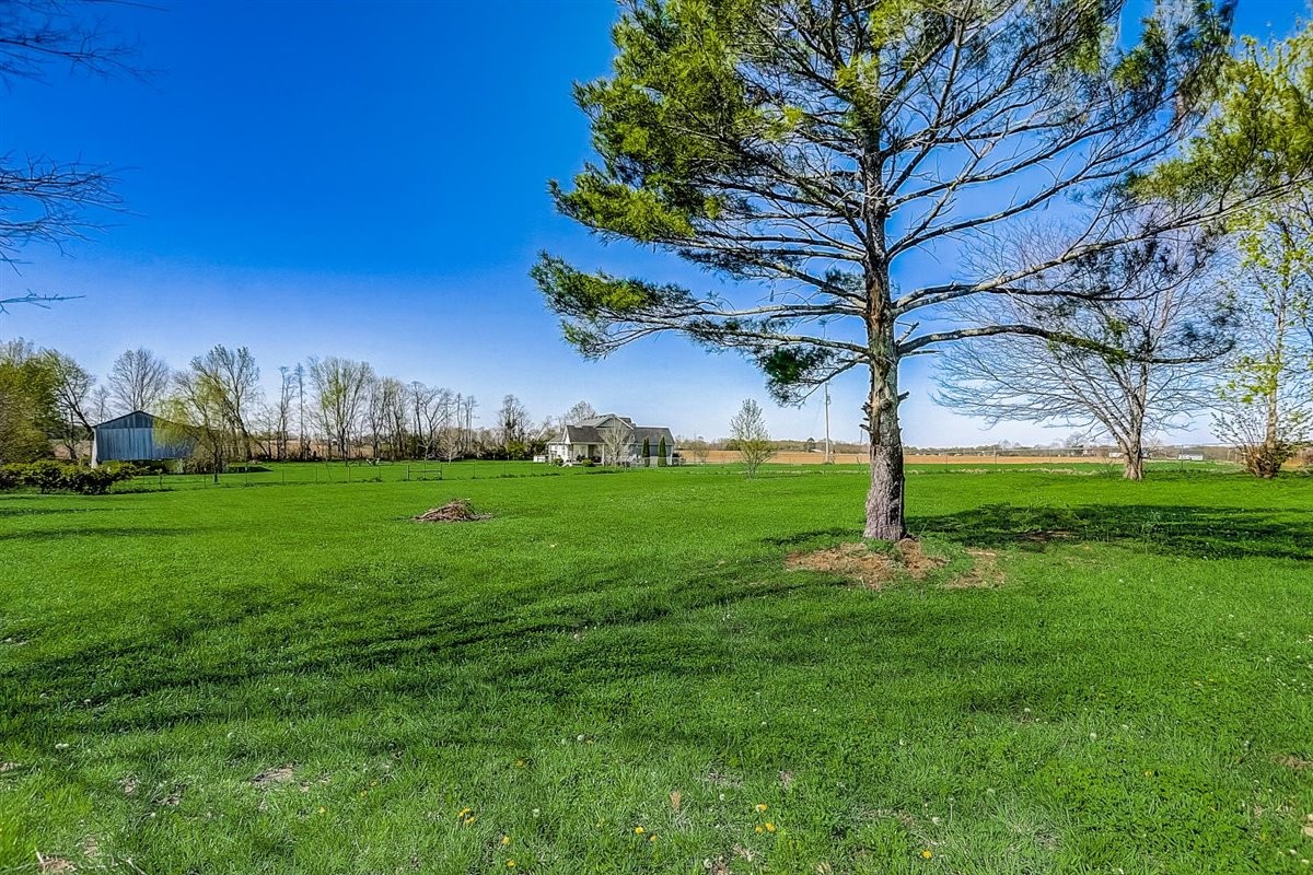 555 White Road Portland, TN 37148 - Photo 29 of 30 a view of yard with tree s