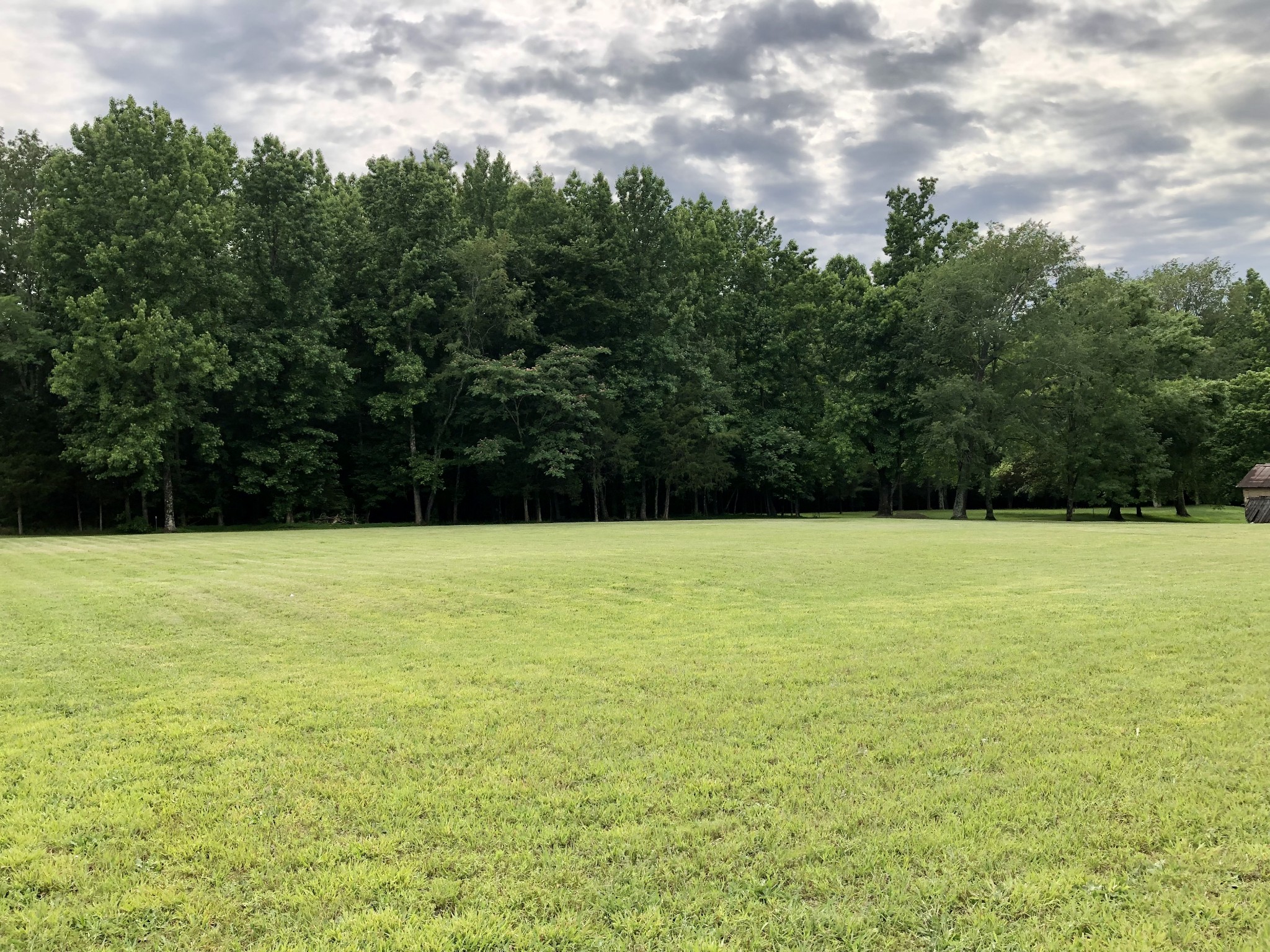 629 A Fall River Road Lawrenceburg, TN 38464 - Photo 32 of 38 a view of a field with an tree