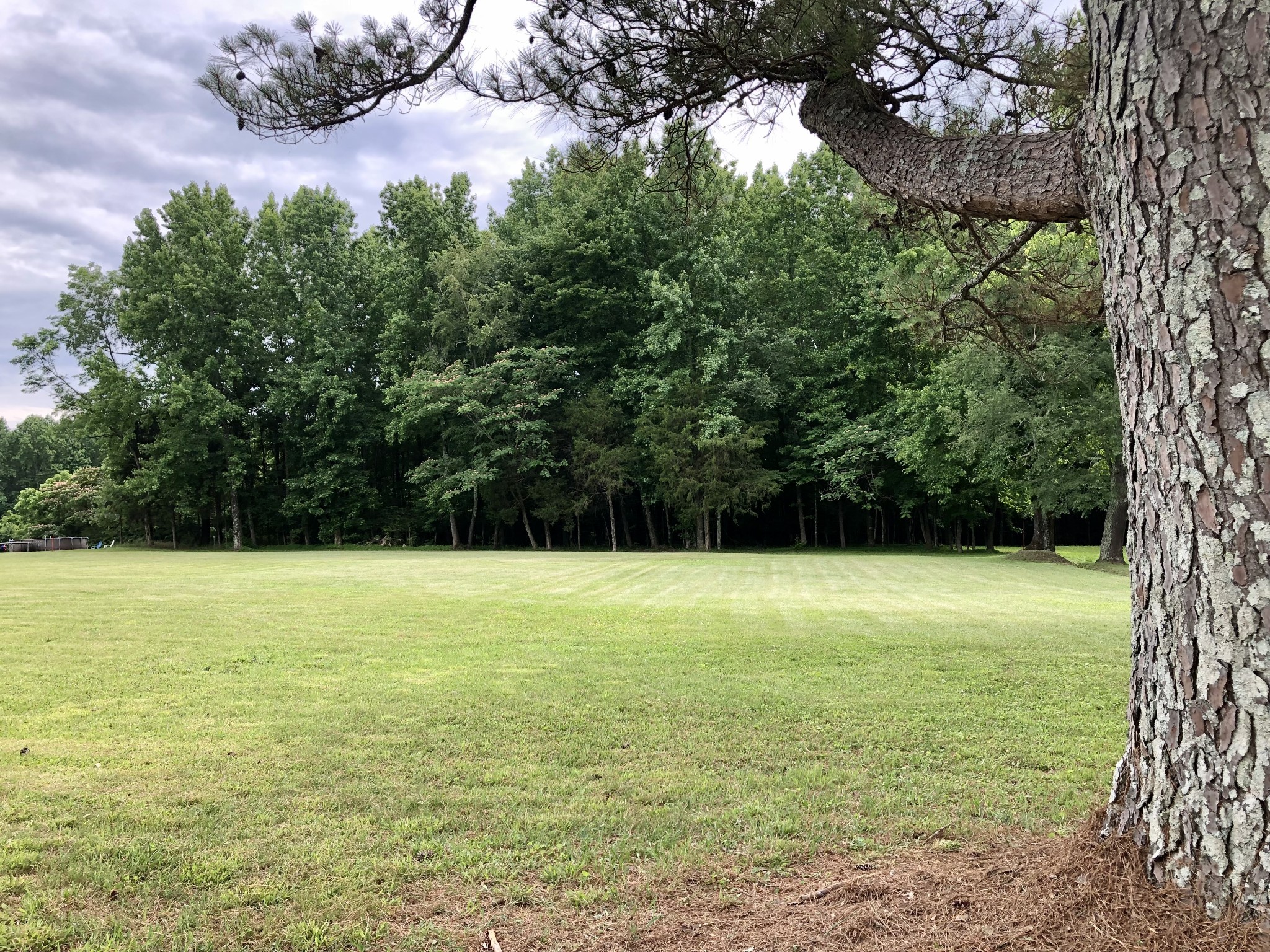 629 A Fall River Road Lawrenceburg, TN 38464 - Photo 5 of 38 a view of an ocean from a yard
