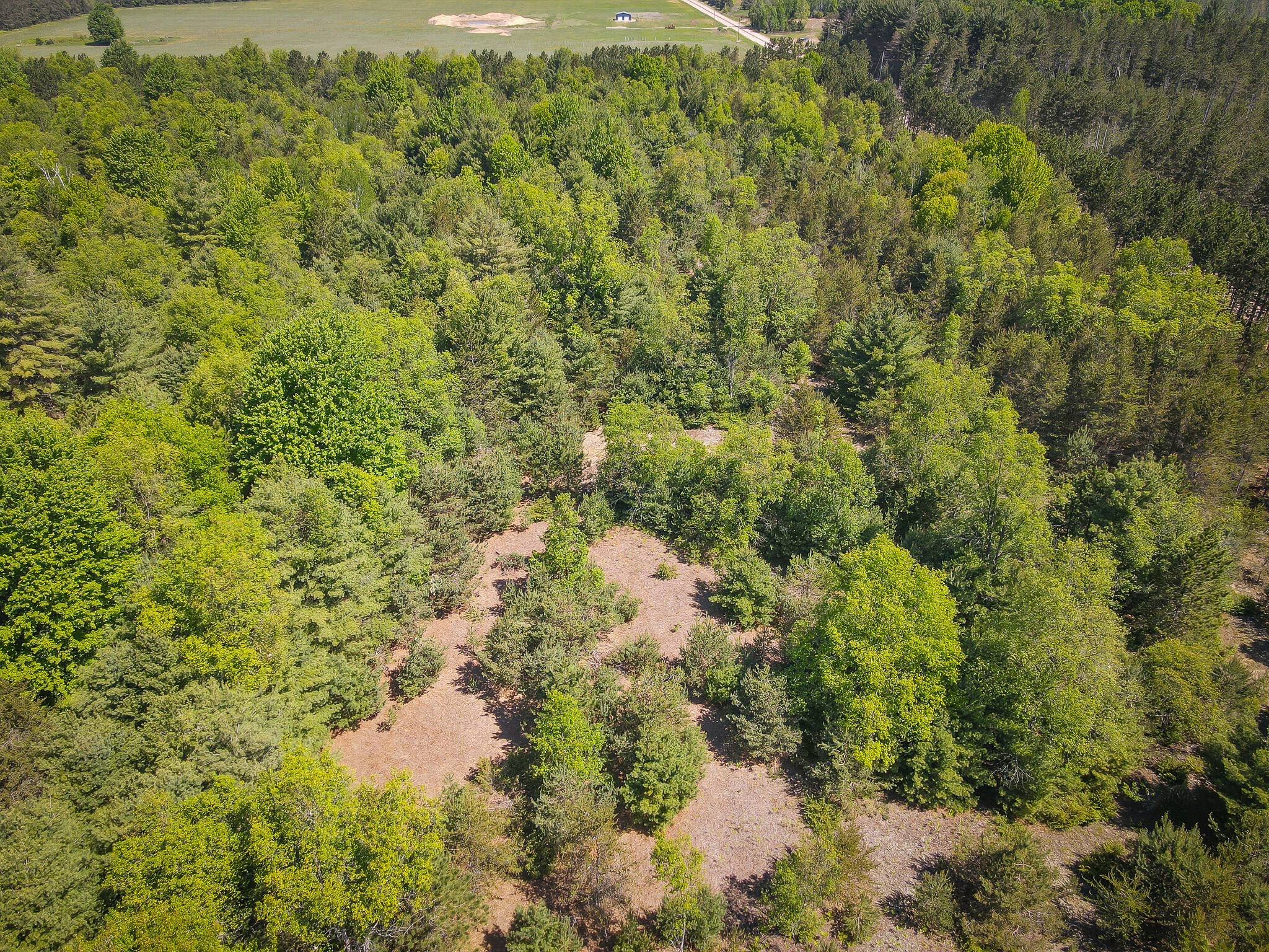 Parcel C Niemi Road Kaleva, MI 49645 - Photo 8 of 28 DJI_0299
