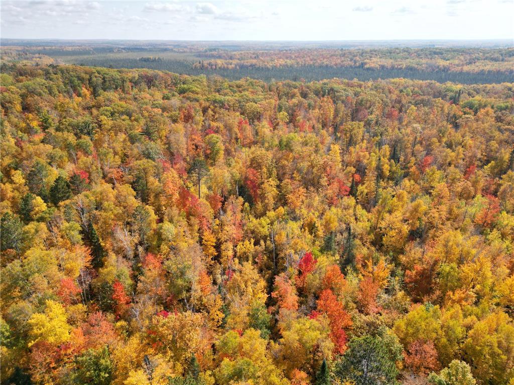 Xxxx Morrison Lake Road Northeast Outing, MN 56662 - Photo 11 of 26 Gallery Image 11