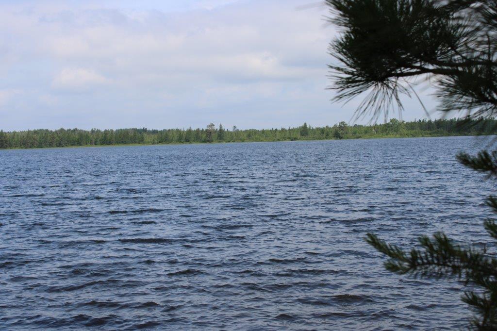 Xxxx Morrison Lake Road Northeast Outing, MN 56662 - Photo 16 of 26 Gallery Image 16