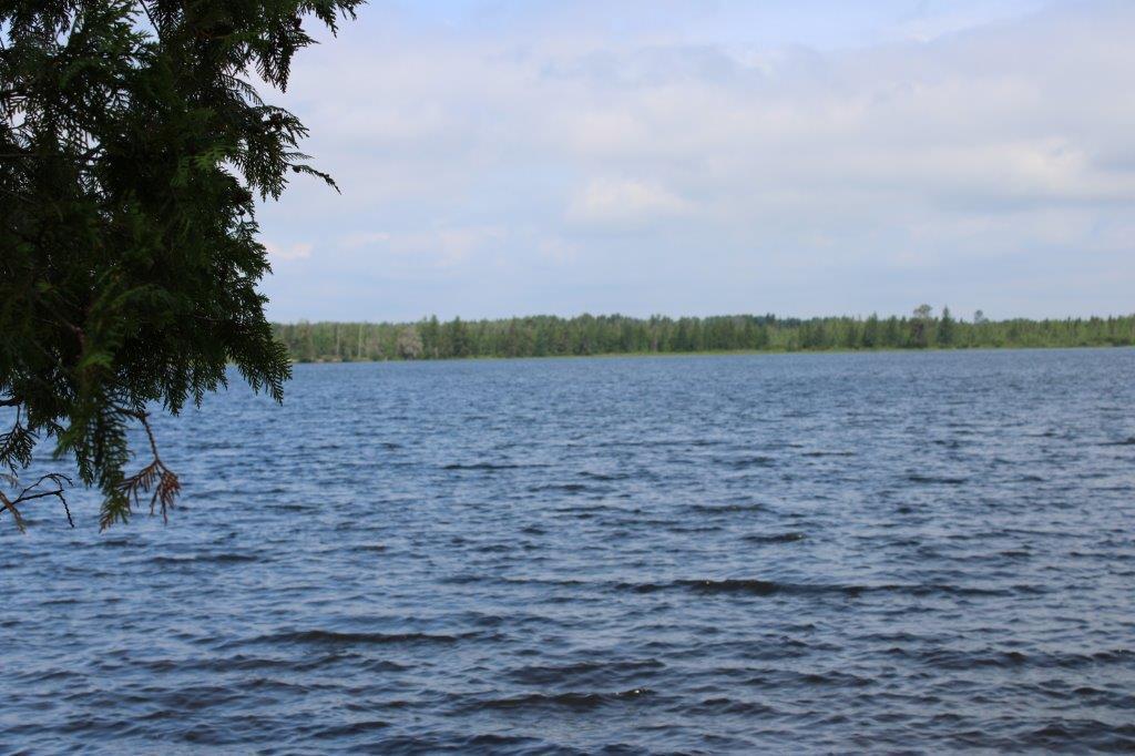 Xxxx Morrison Lake Road Northeast Outing, MN 56662 - Photo 17 of 26 Gallery Image 17