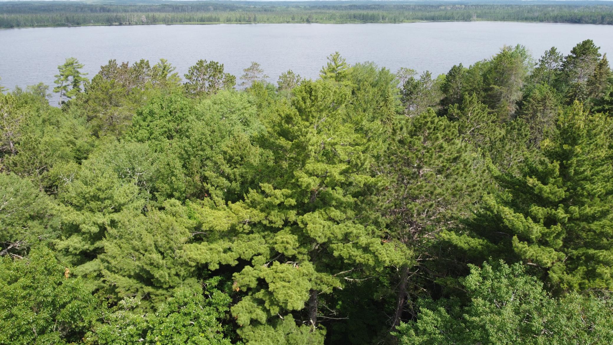 Xxxx Morrison Lake Road Northeast Outing, MN 56662 - Photo 23 of 26 Gallery Image 23