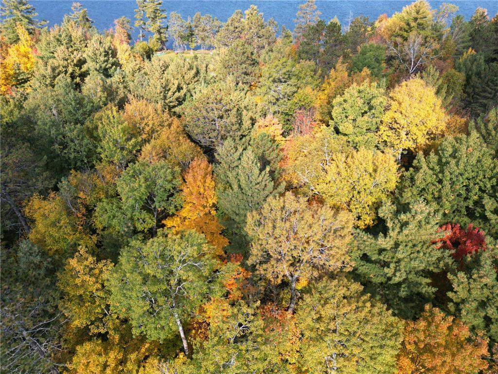 Xxxx Morrison Lake Road Northeast Outing, MN 56662 - Photo 4 of 26 Gallery Image 4