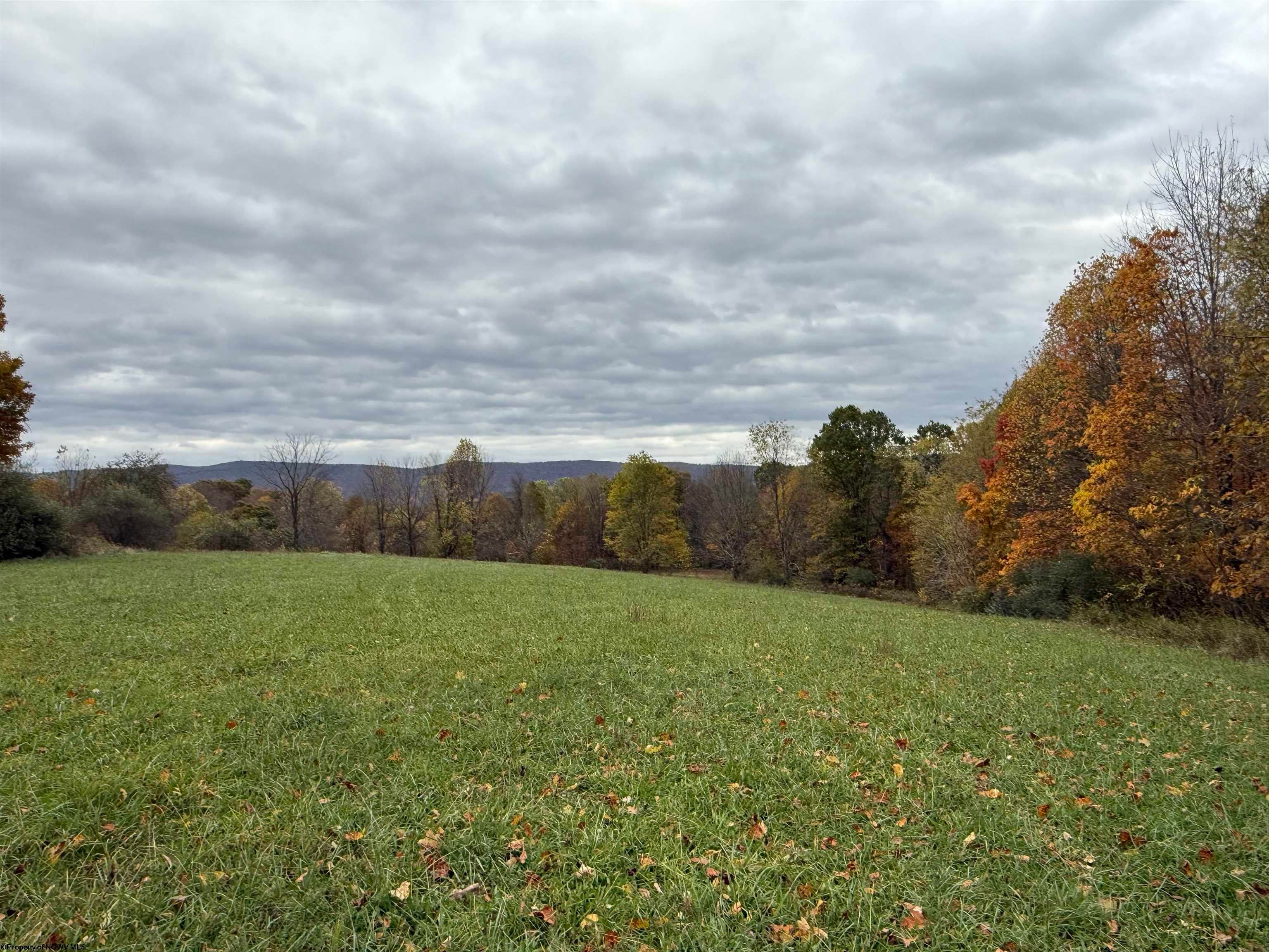 0 Riggins Kingwood, WV 26537 - Photo 10 of 40 Gallery Image 10