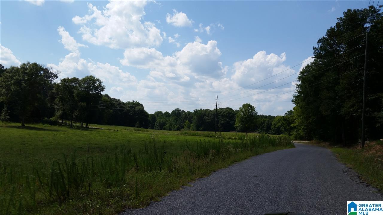 1885 Brooks Lake Road Lincoln, AL 35096 - Photo 24 of 30