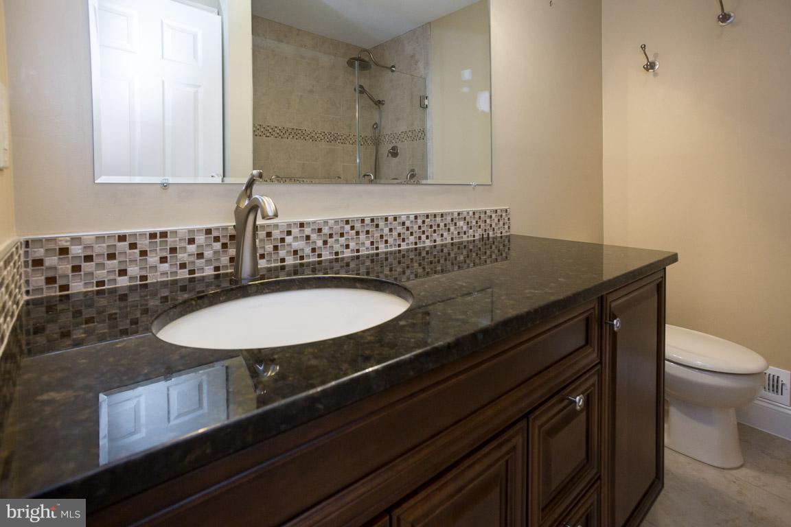 10929 Amherst Avenue, Unit 12 Silver Spring, MD 20902 - Photo 15 of 39 Master Bath