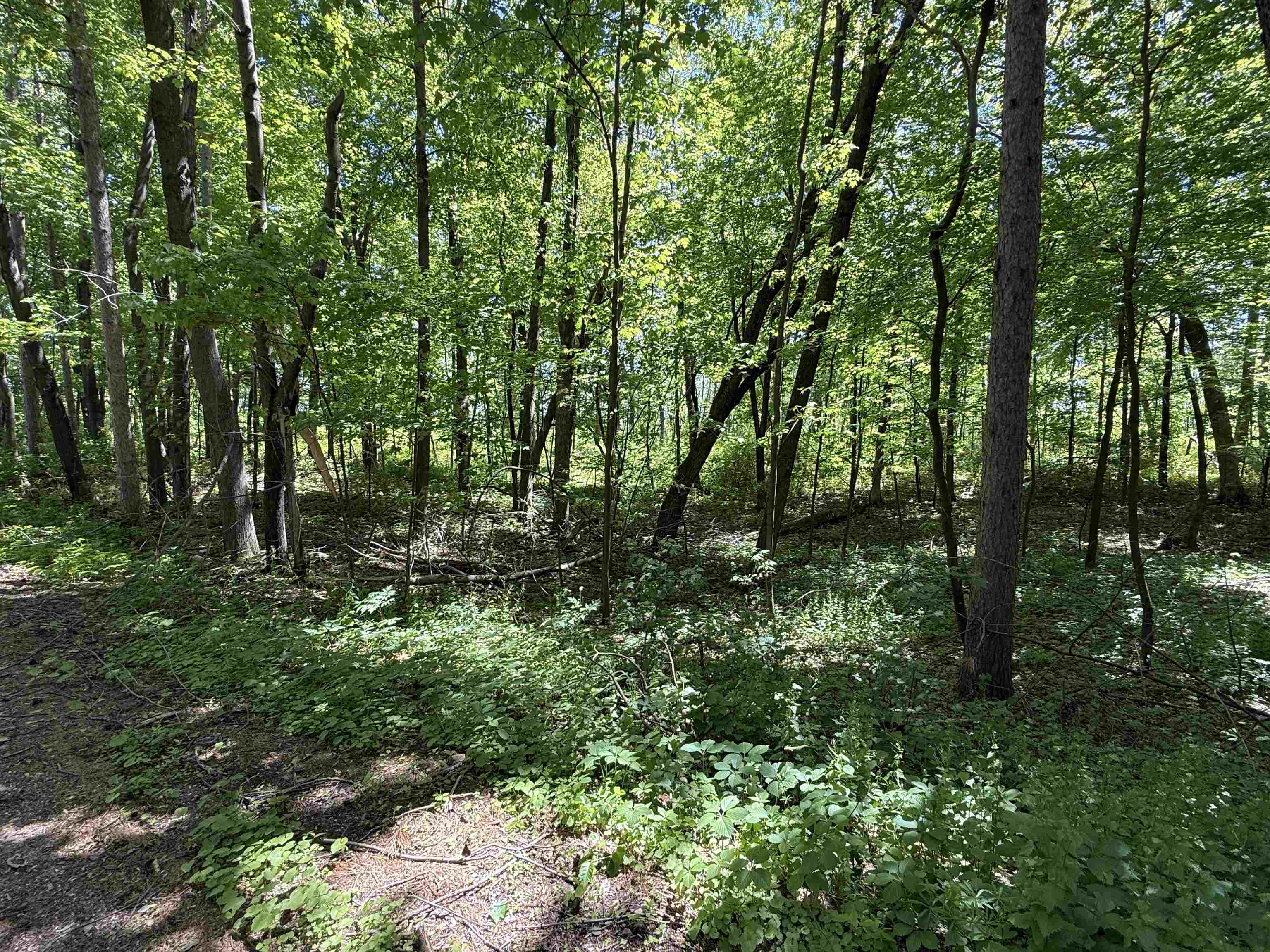 Lot 16 Arrowhead Road Amherst Junction, WI 54407 - Photo 9 of 17