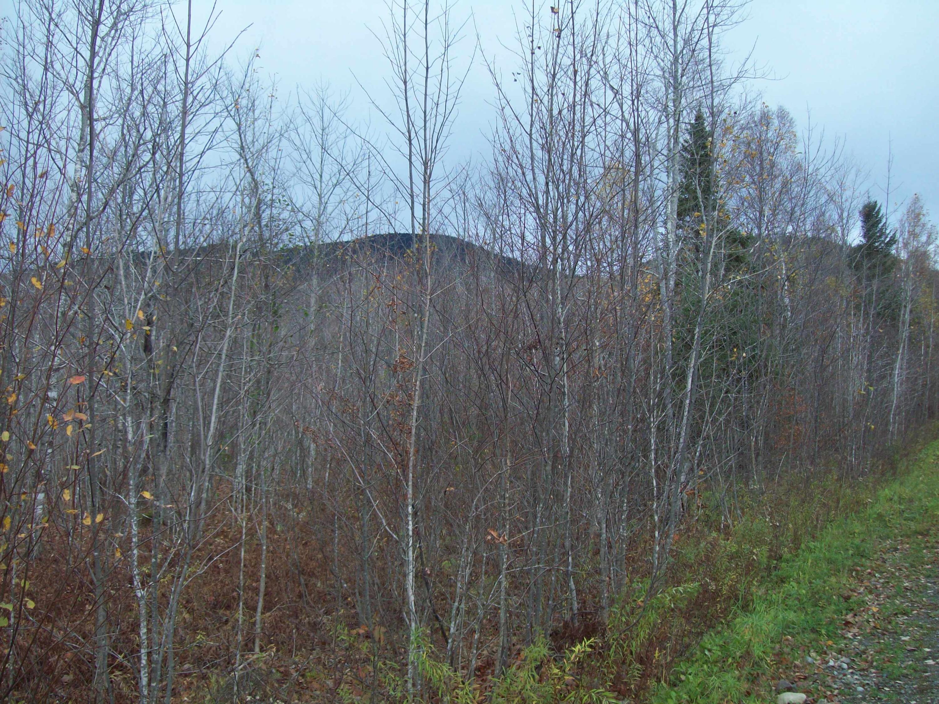 Tbd Mountain Road Mount Chase, ME 04765 - Photo 28 of 29 100_2429