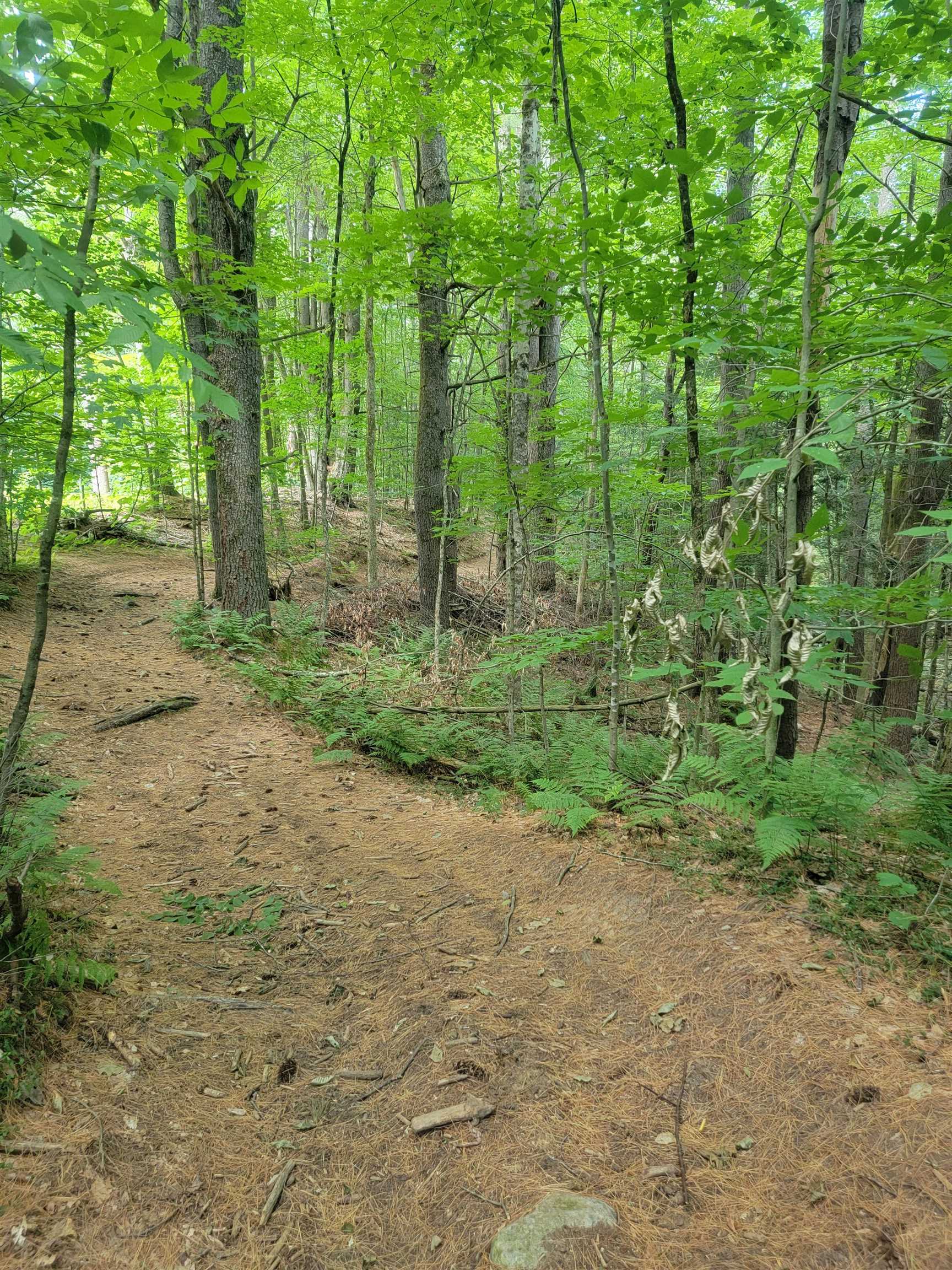 18 Hidden Valley Road Shaftsbury, VT 05262 - Photo 5 of 15