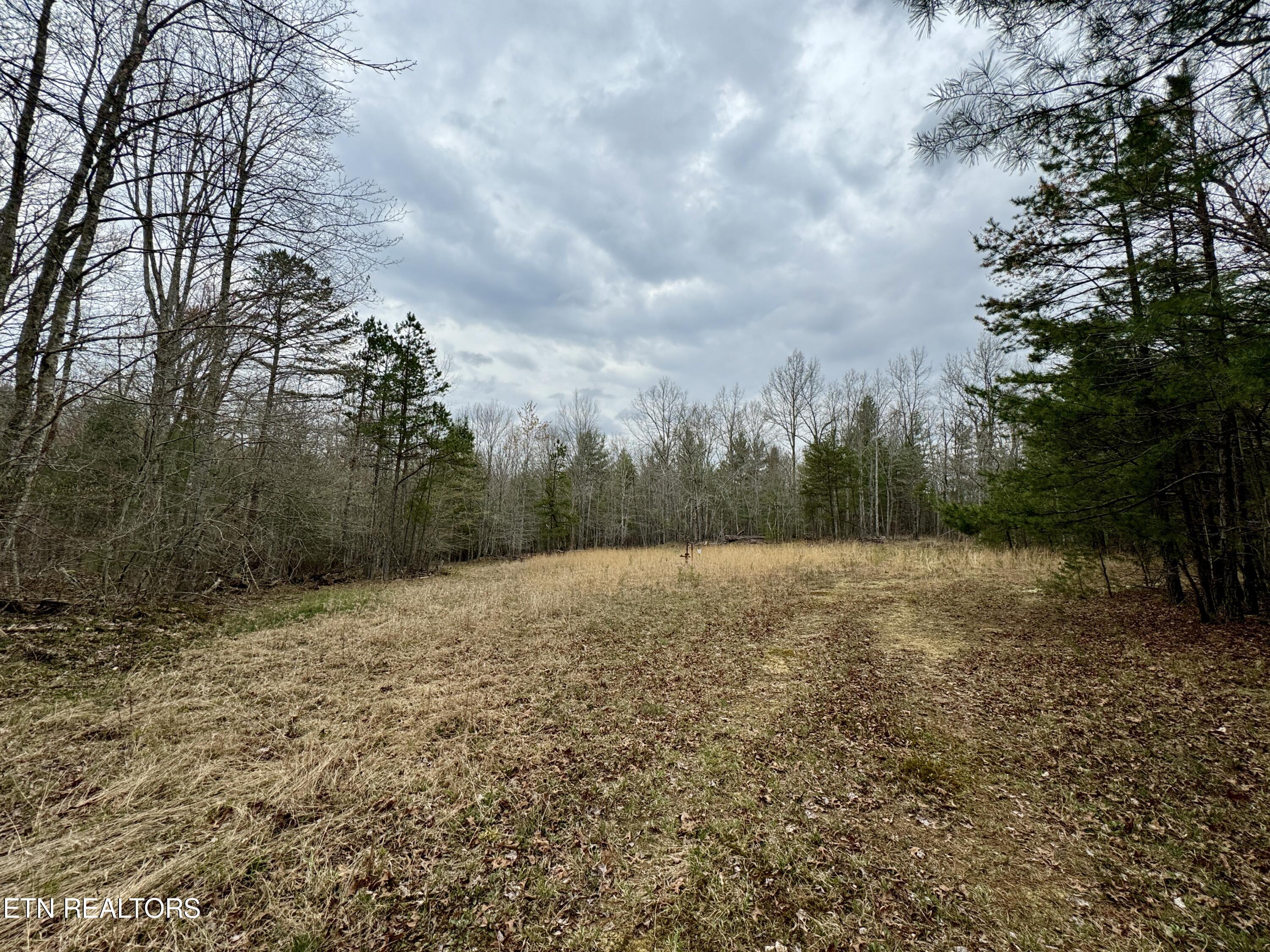 John Nitzscheke Road Sunbright, TN 37872 - Photo 26 of 60 27