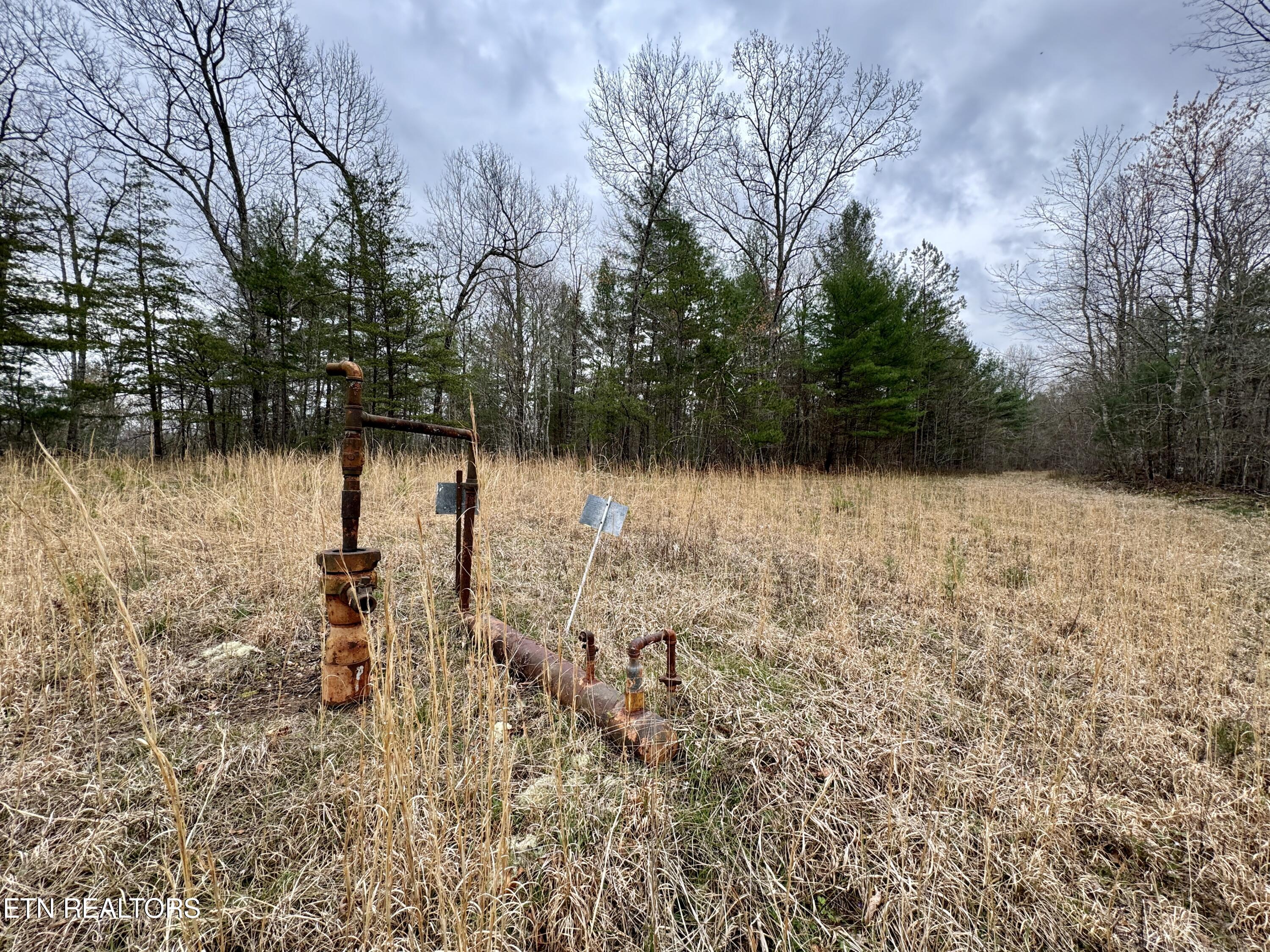 John Nitzscheke Road Sunbright, TN 37872 - Photo 27 of 60 28