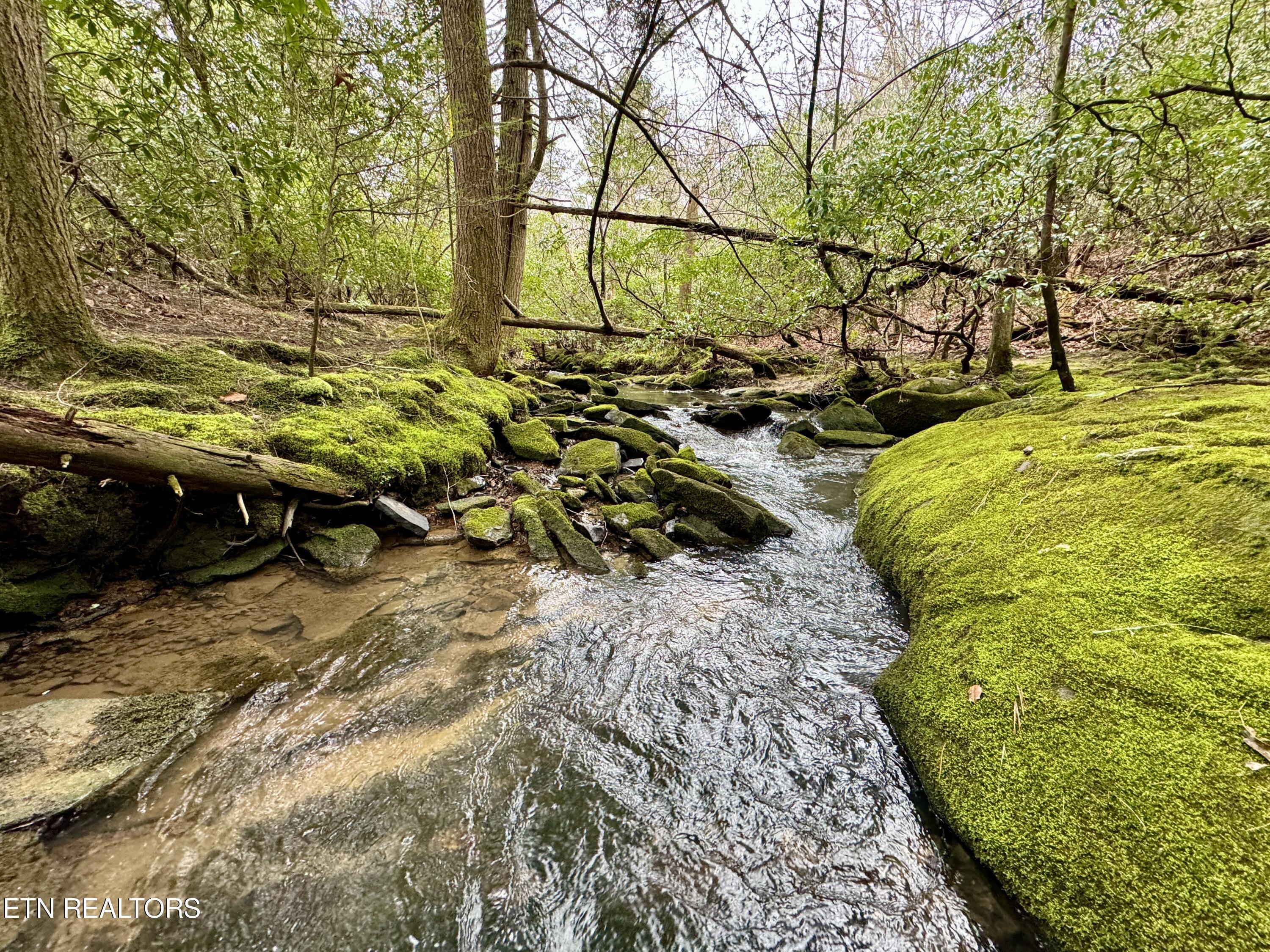 John Nitzscheke Road Sunbright, TN 37872 - Photo 30 of 60 31