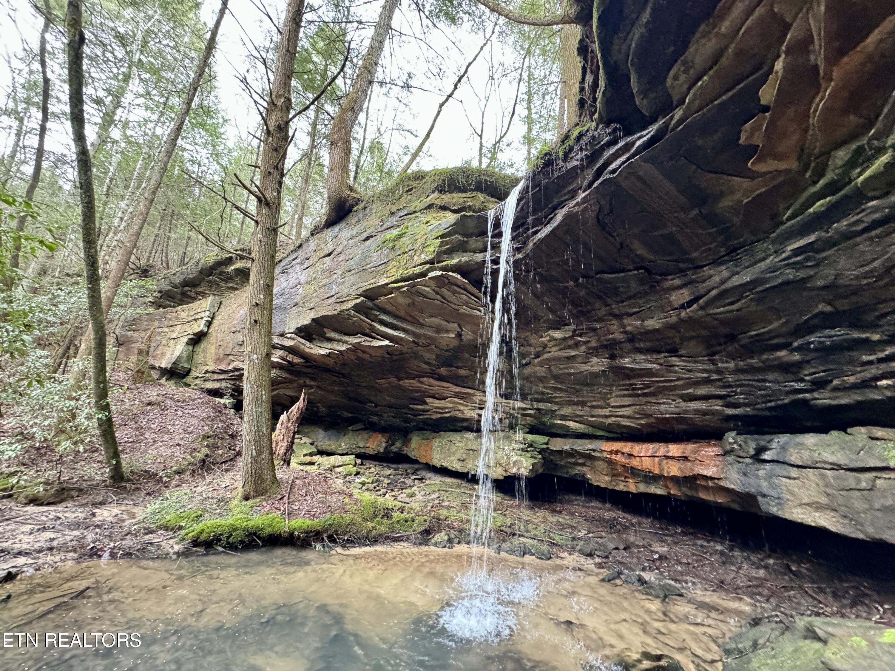 John Nitzscheke Road Sunbright, TN 37872 - Photo 3 of 60 3