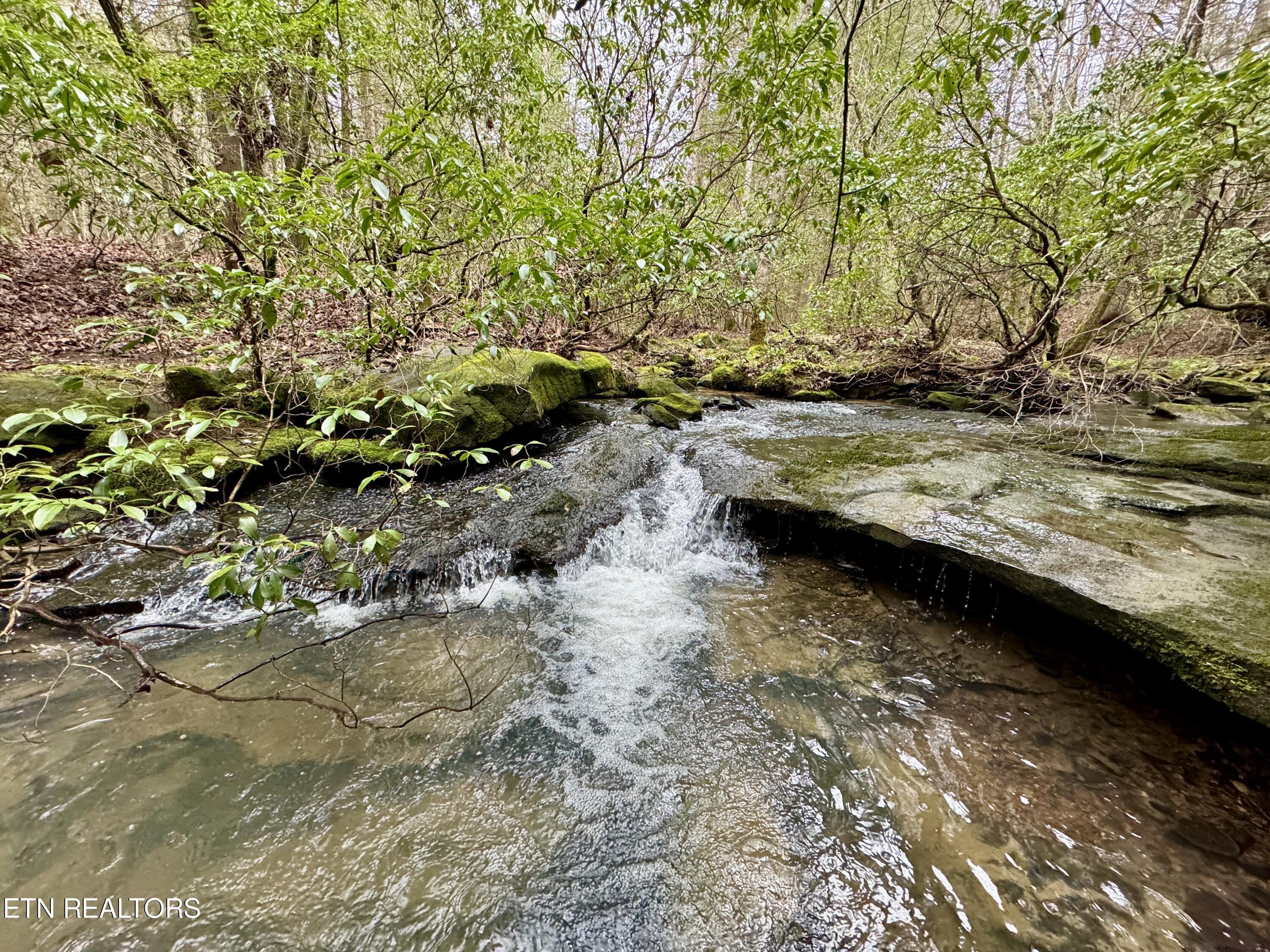 John Nitzscheke Road Sunbright, TN 37872 - Photo 31 of 60 32