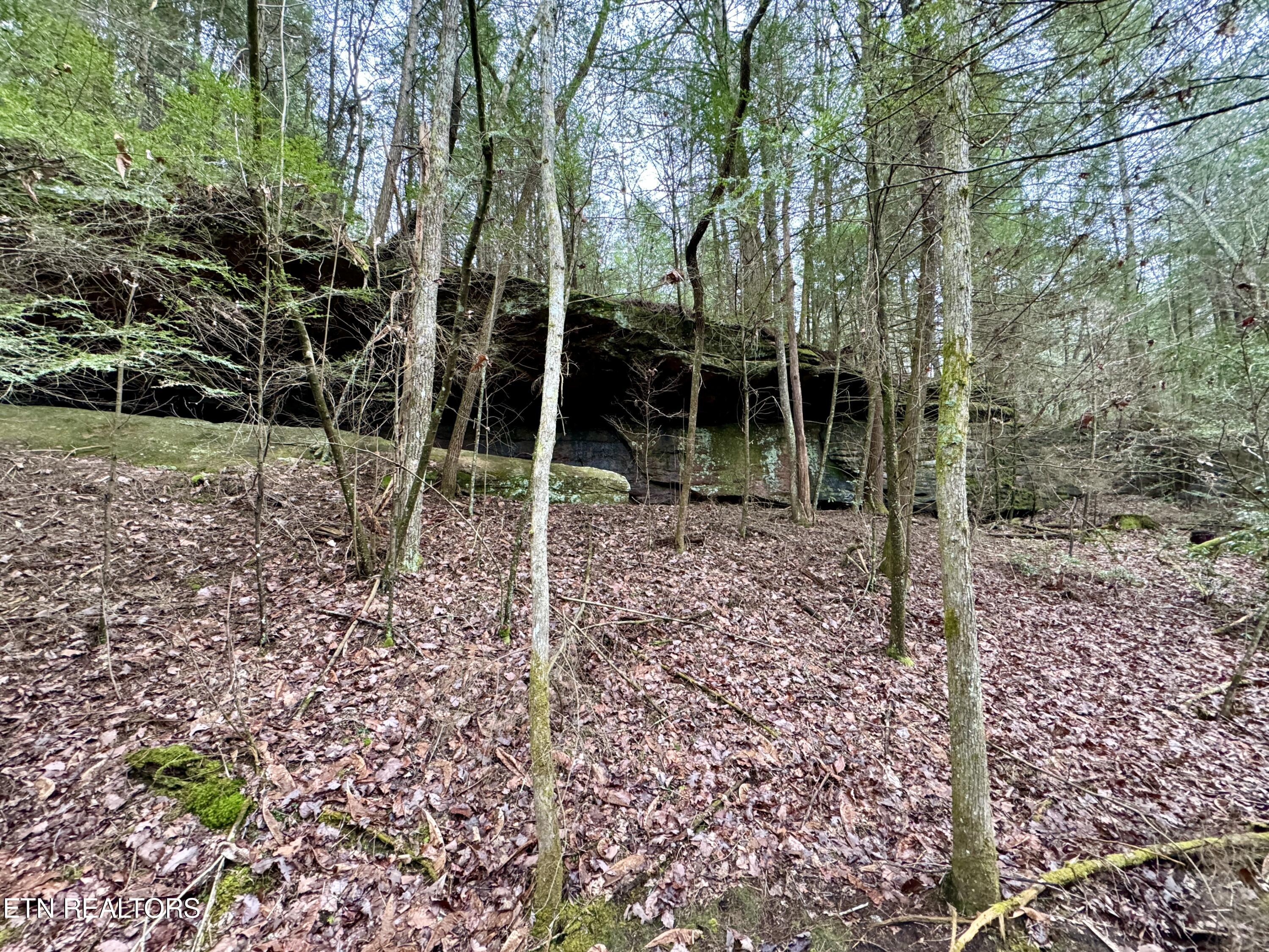 John Nitzscheke Road Sunbright, TN 37872 - Photo 32 of 60 33