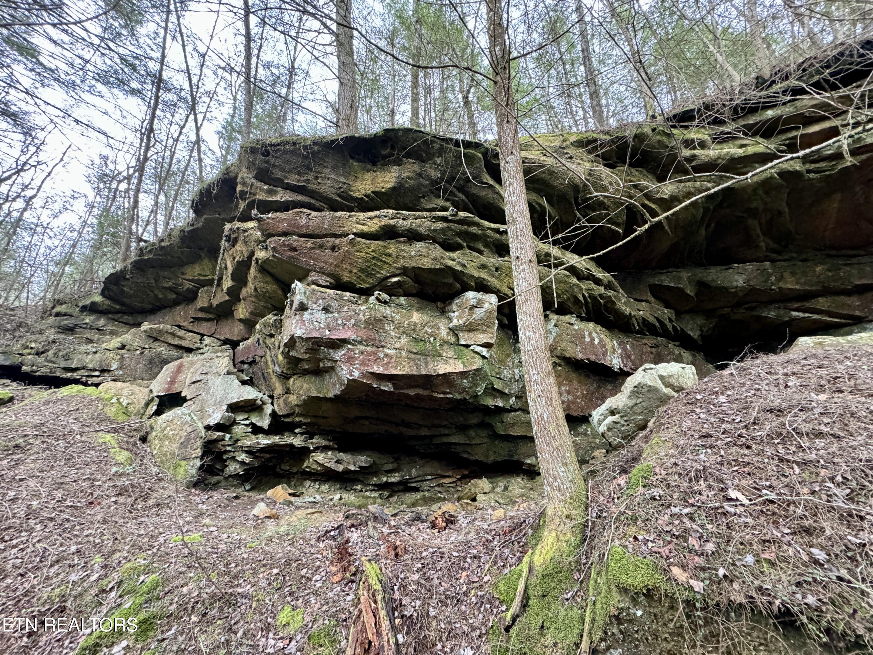 John Nitzscheke Road Sunbright, TN 37872 - Photo 33 of 60 34