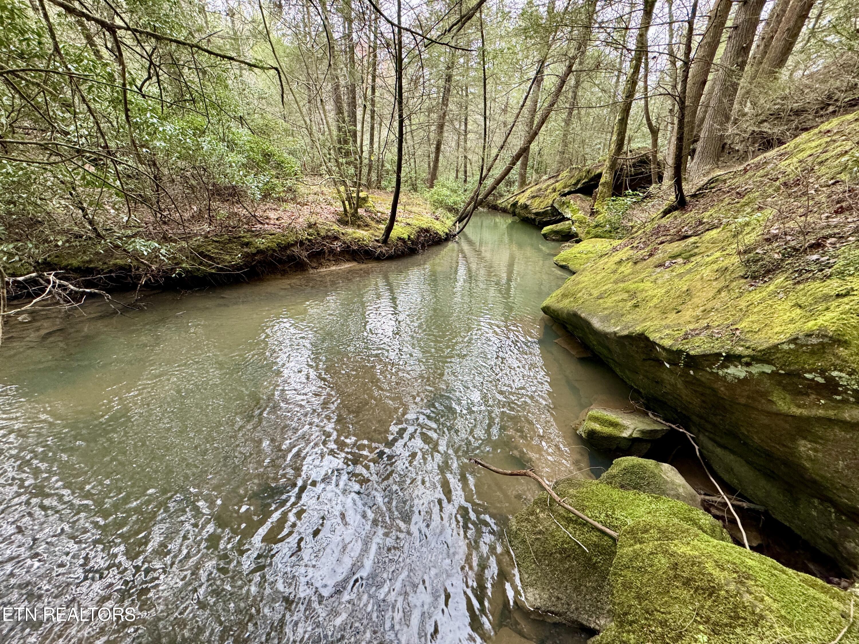 John Nitzscheke Road Sunbright, TN 37872 - Photo 34 of 60 35