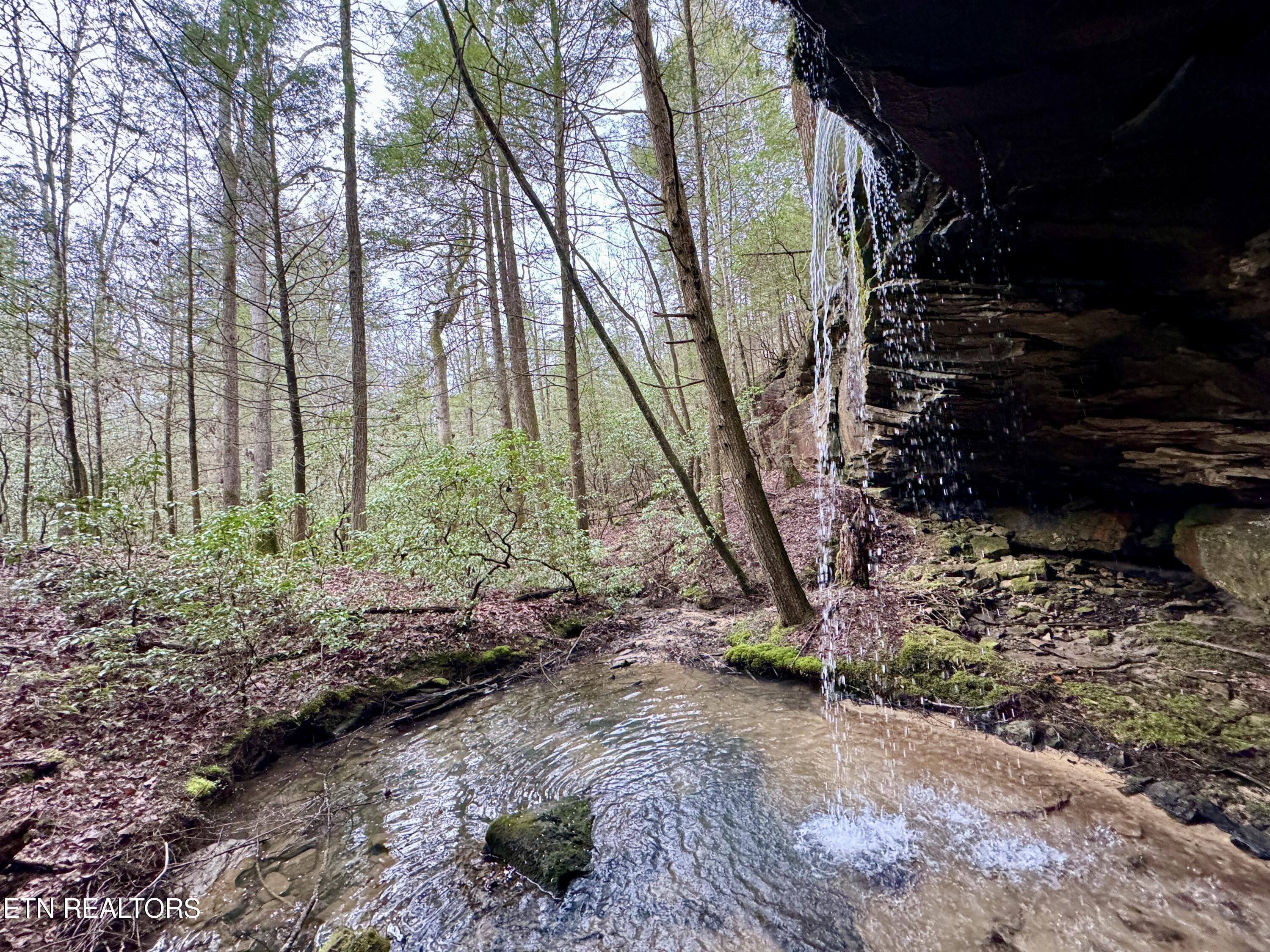John Nitzscheke Road Sunbright, TN 37872 - Photo 36 of 60 37