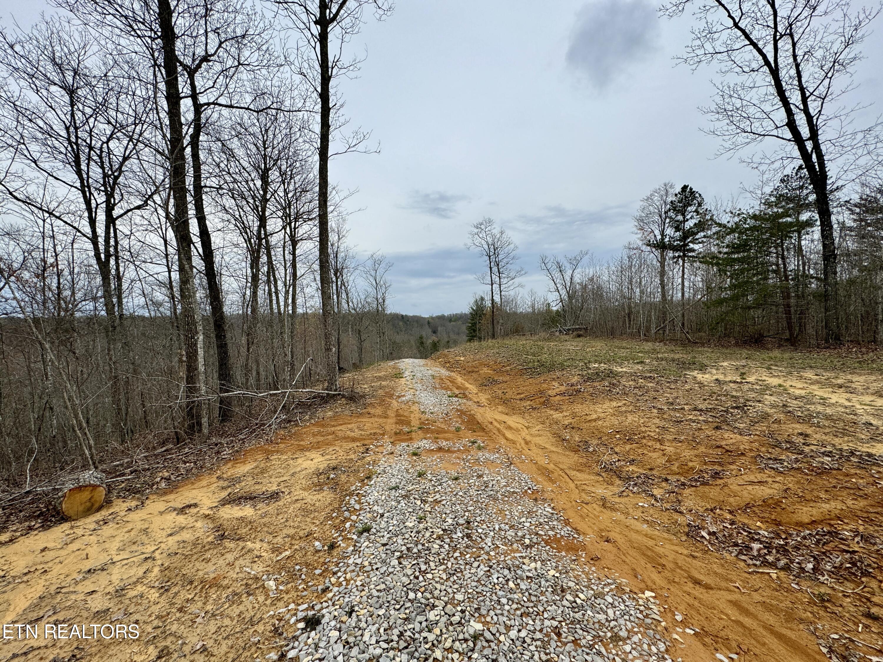 John Nitzscheke Road Sunbright, TN 37872 - Photo 40 of 60 41