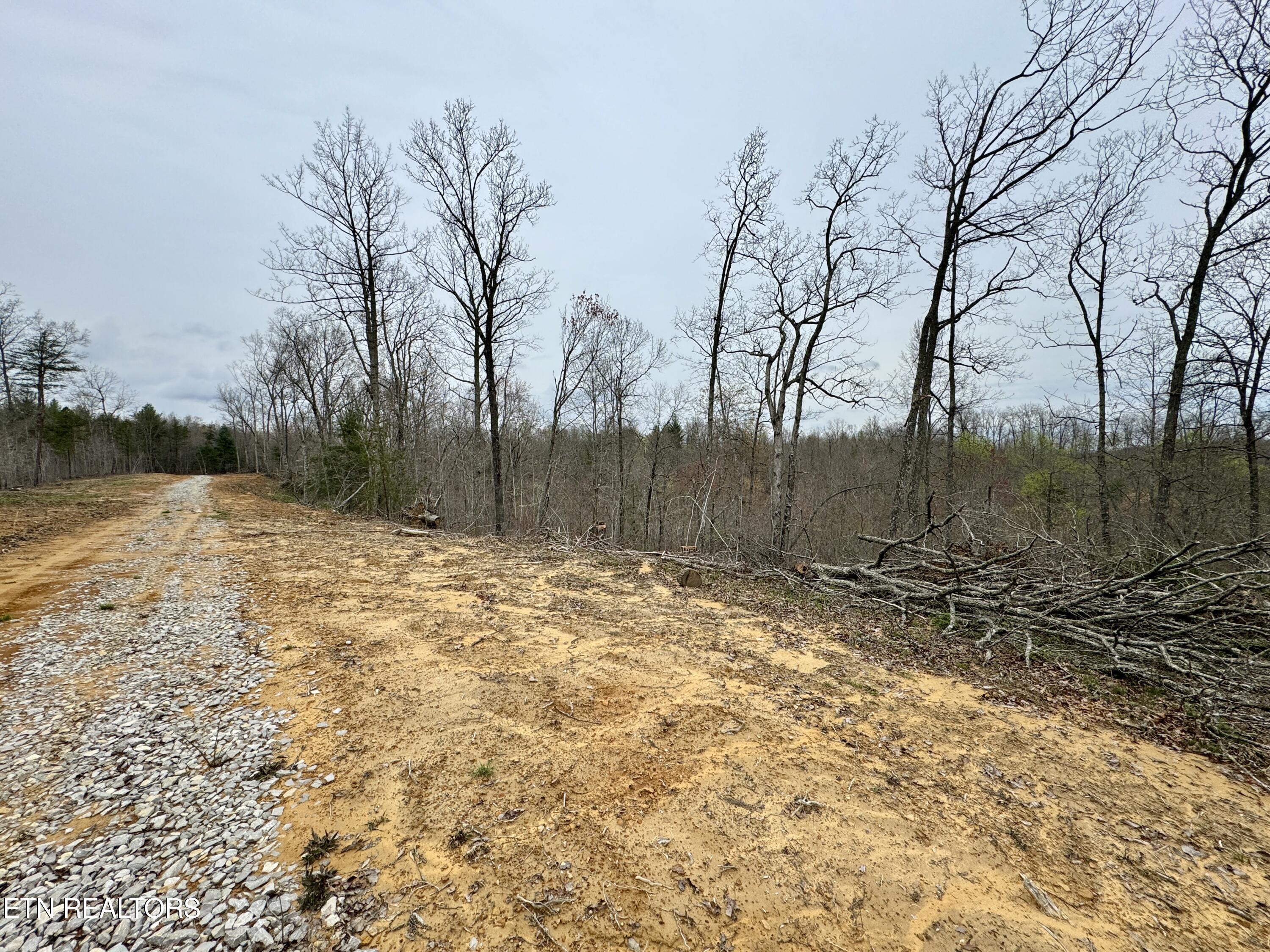 John Nitzscheke Road Sunbright, TN 37872 - Photo 41 of 60 42