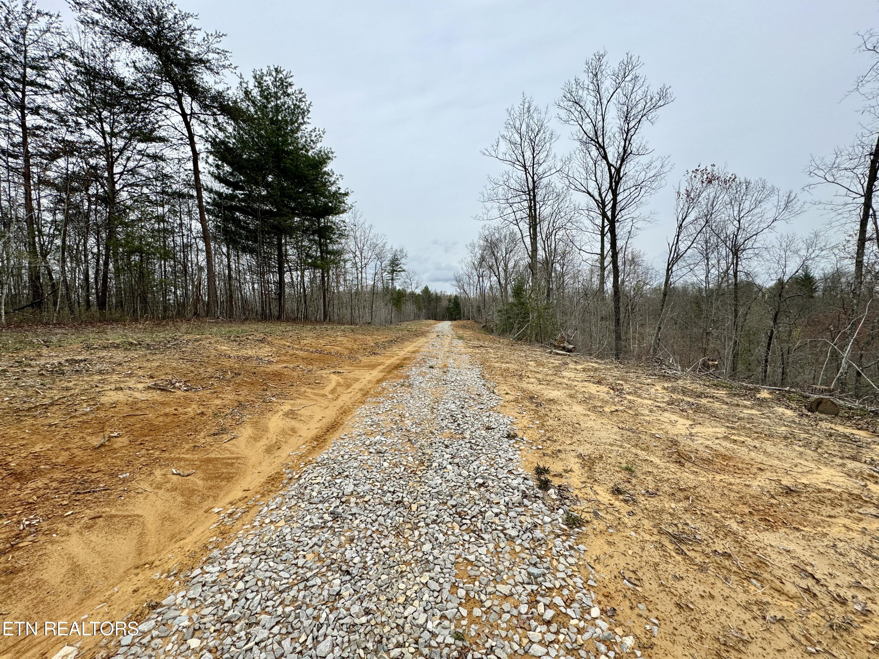 John Nitzscheke Road Sunbright, TN 37872 - Photo 42 of 60 43
