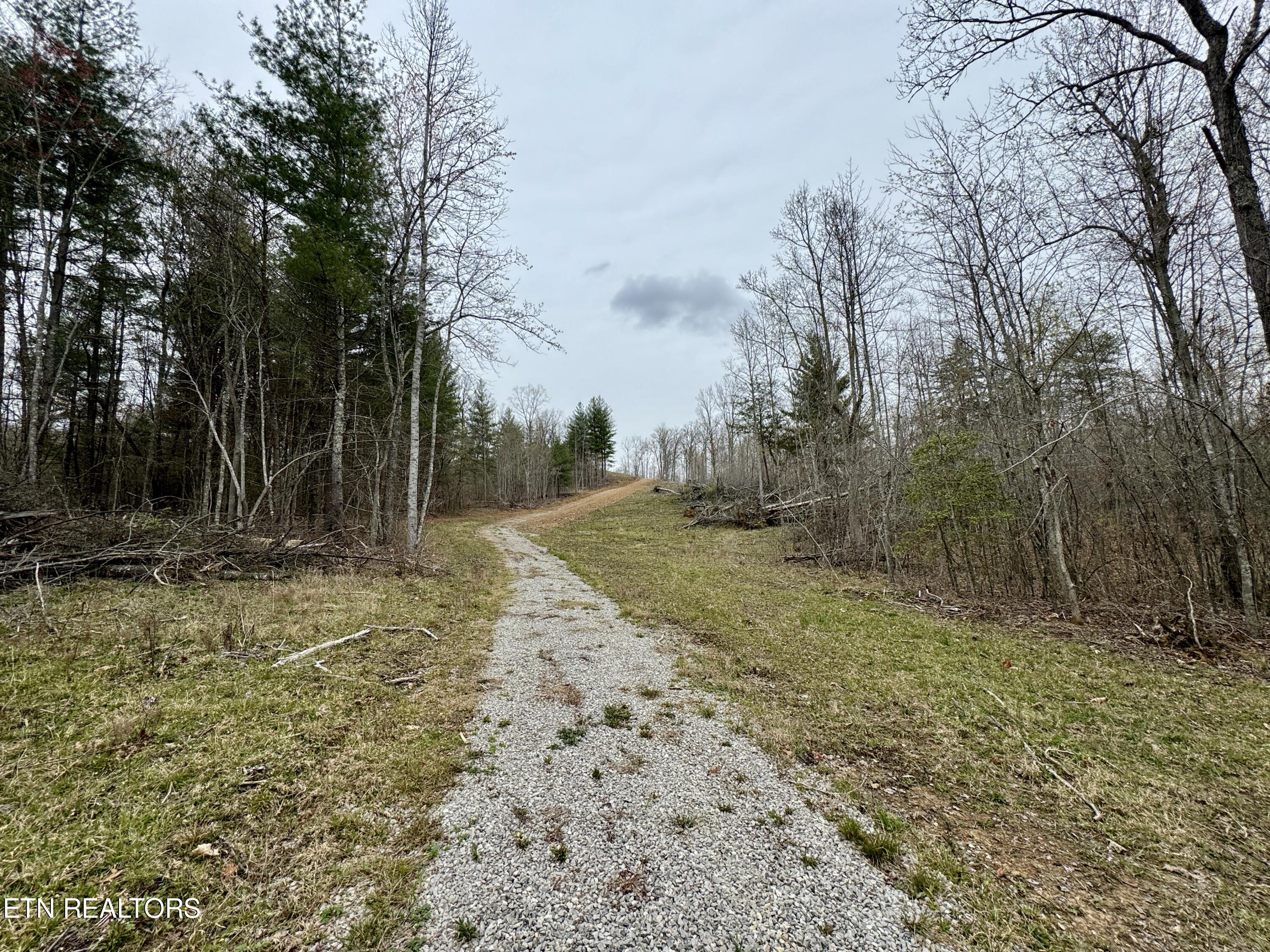 John Nitzscheke Road Sunbright, TN 37872 - Photo 44 of 60 45