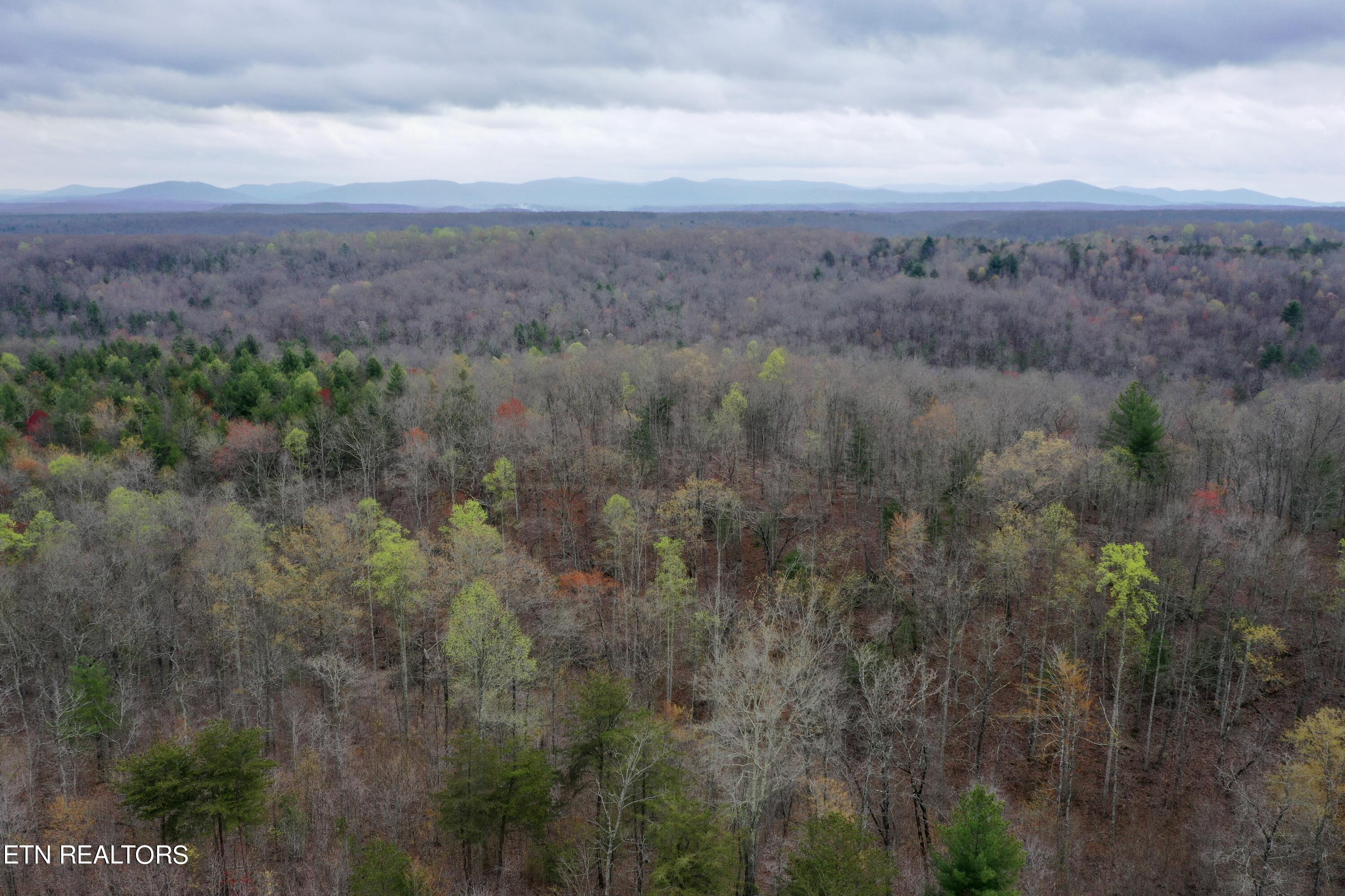 John Nitzscheke Road Sunbright, TN 37872 - Photo 53 of 60 DJI_0934