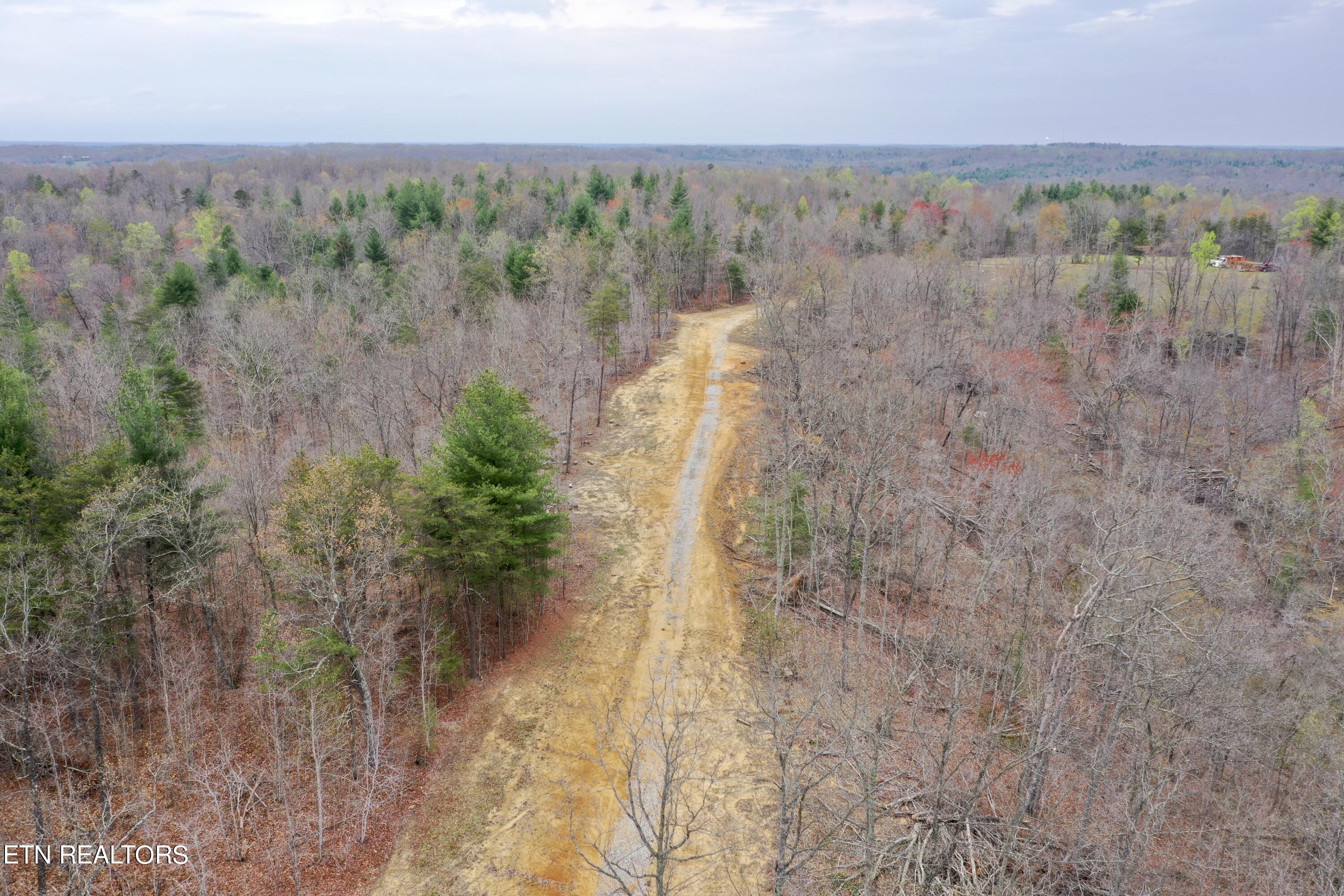 John Nitzscheke Road Sunbright, TN 37872 - Photo 6 of 60 6