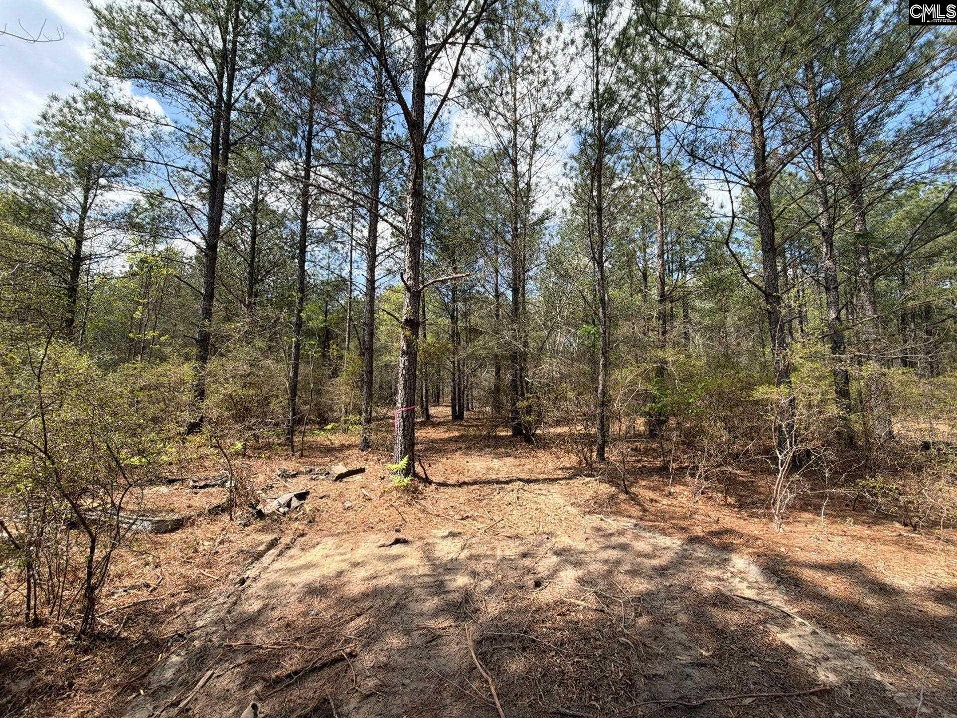 4 Mt Calvary Rd Ridge Spring Ridge Spring, SC 29129 - Photo 1 of 40