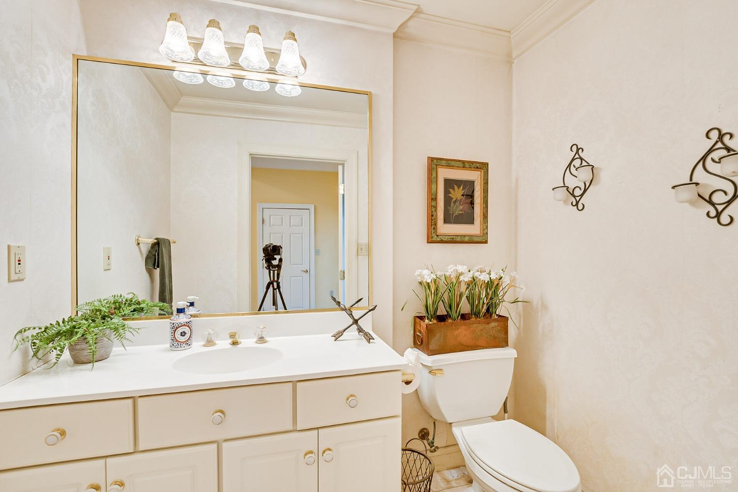 12 Clive Hills Road Edison, NJ 08820 - Photo 17 of 65