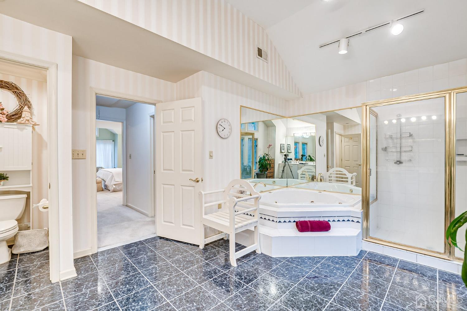 12 Clive Hills Road Edison, NJ 08820 - Photo 45 of 65