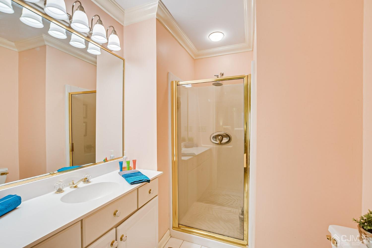 12 Clive Hills Road Edison, NJ 08820 - Photo 50 of 65