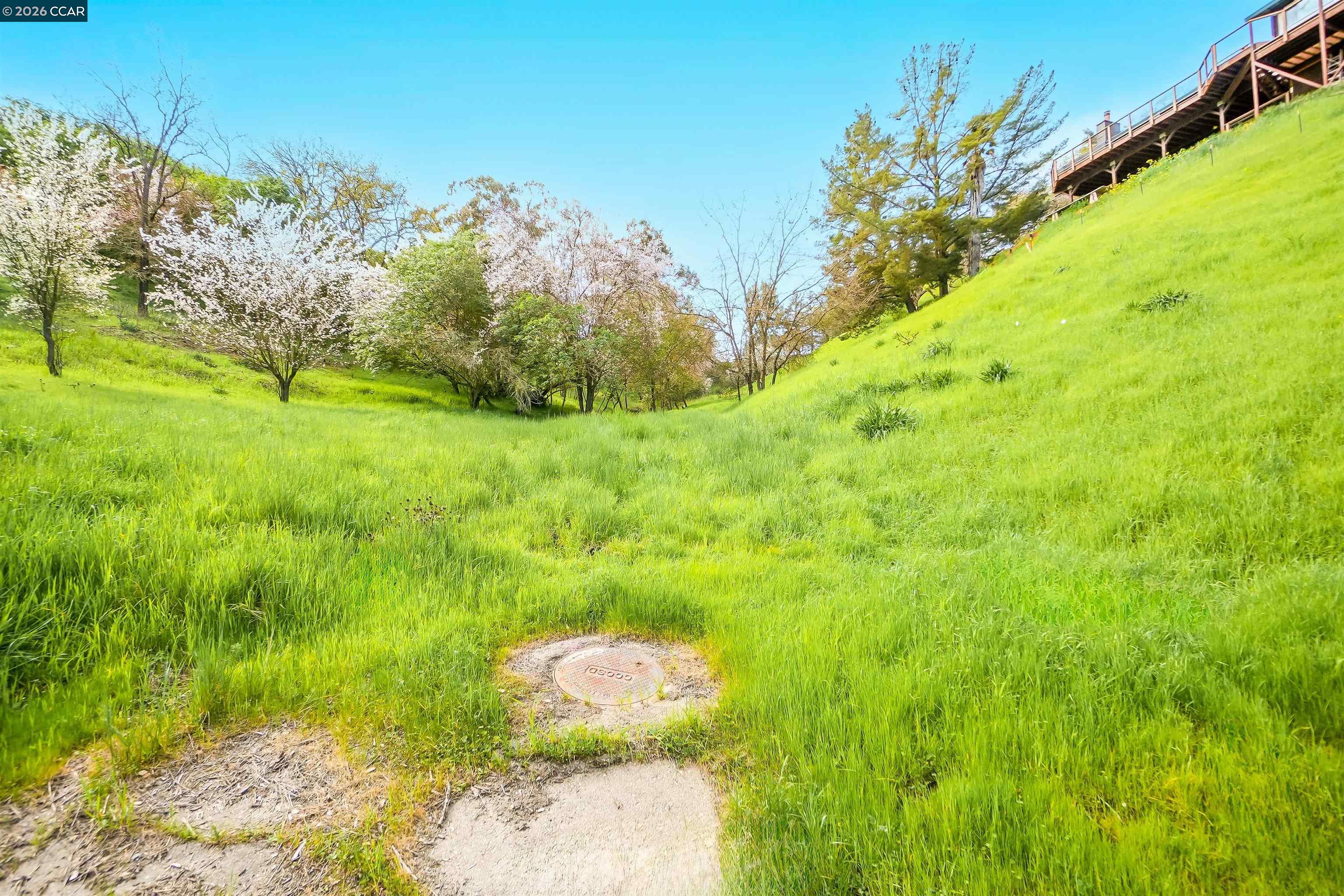 40 Rodrigues Lane Walnut Creek, CA 94597 - Photo 6 of 12 a view of a big yard with large trees
