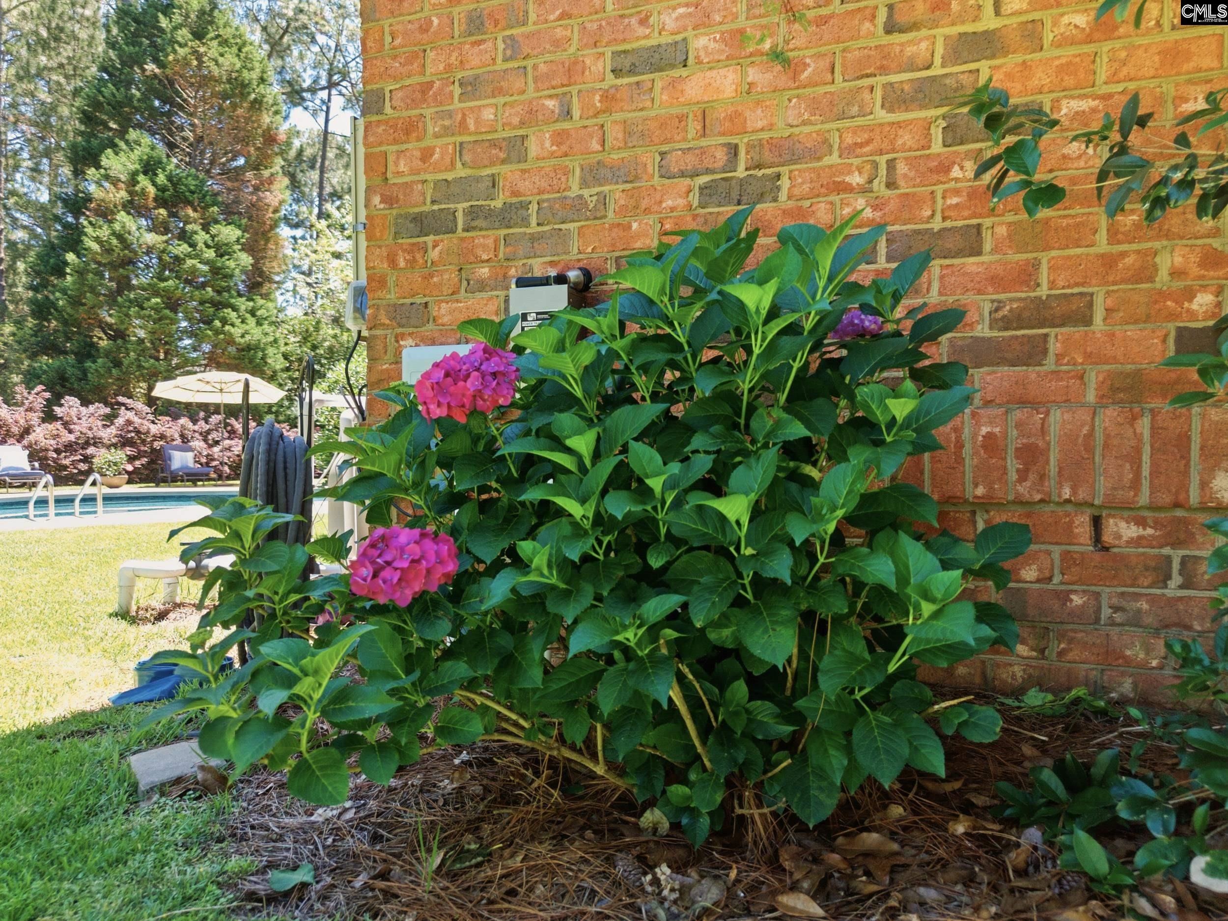 148 High Knoll Road Columbia, SC 29223 - Photo 74 of 78
