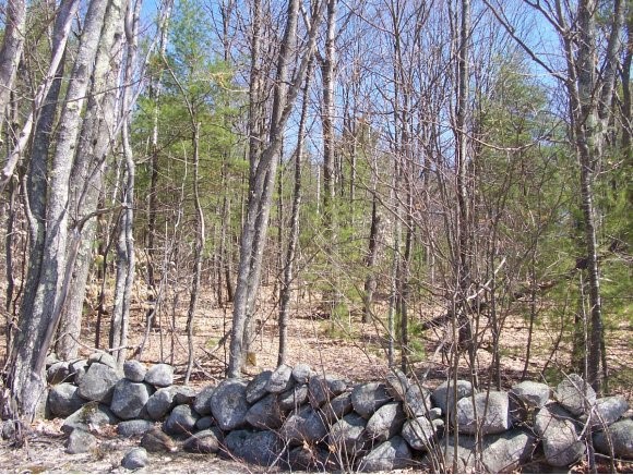 237 Grapevine Road Dunbarton, NH 03046 - Photo 1 of 1