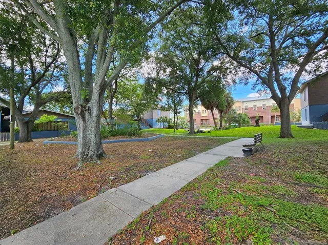 a view of a park with large trees