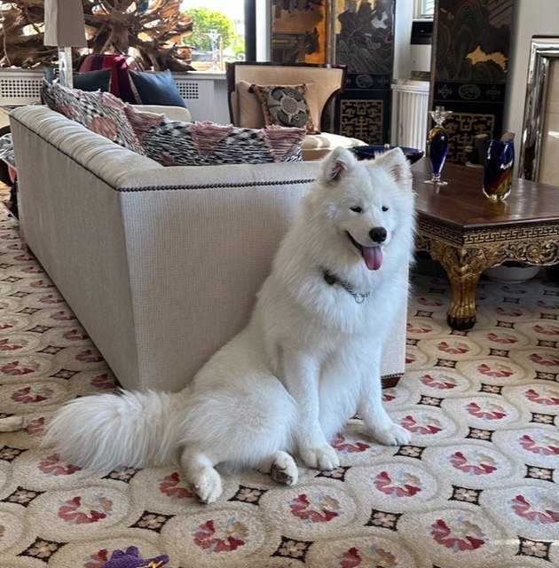 170 East End Avenue, Unit 2G Manhattan, NY 10128 - Photo 26 of 27 a living room with furniture and a couch
