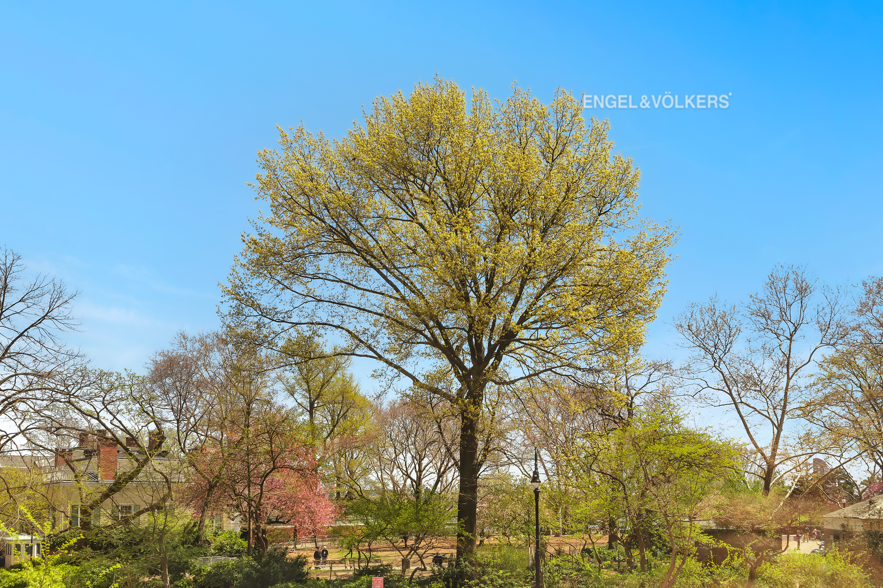 170 East End Avenue, Unit 2G Manhattan, NY 10128 - Photo 3 of 27 a view of a big yard with plants and trees