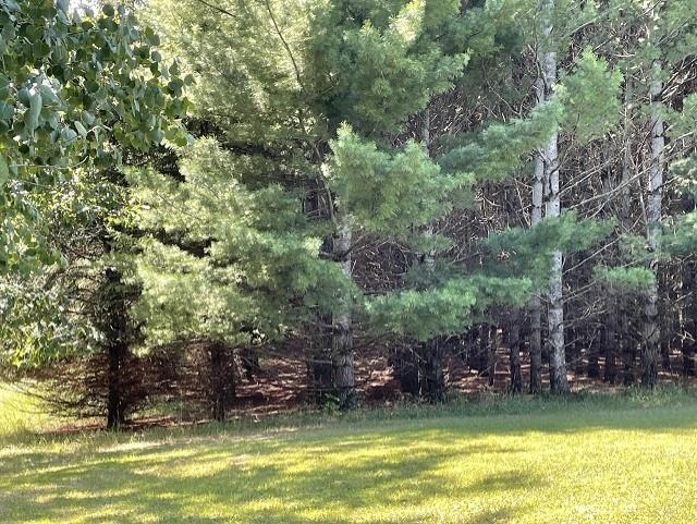 5377 Rau Road West Branch, MI 48661 - Photo 18 of 41 1914902-19.JPG
