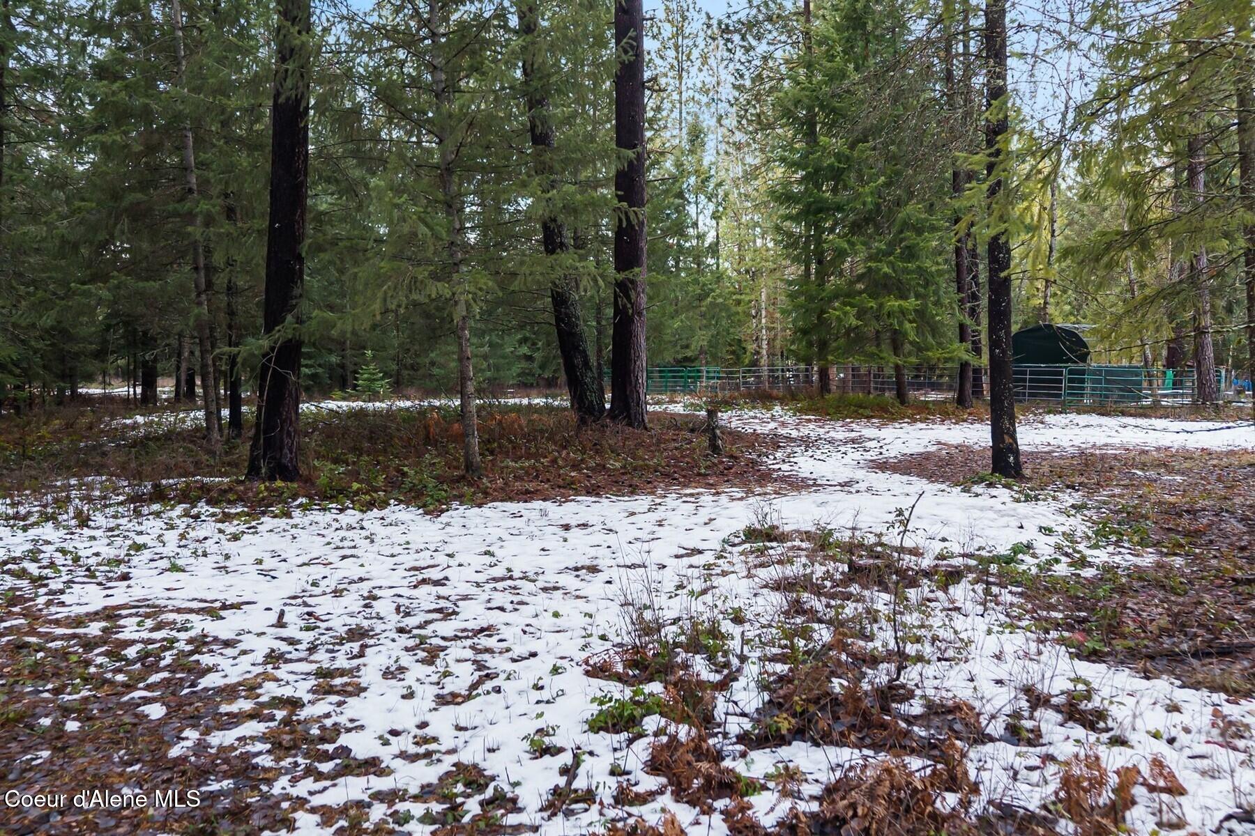 842 Samuels Road Sandpoint, ID 83864 - Photo 11 of 22 Wooded w Aspens & Ponderosas