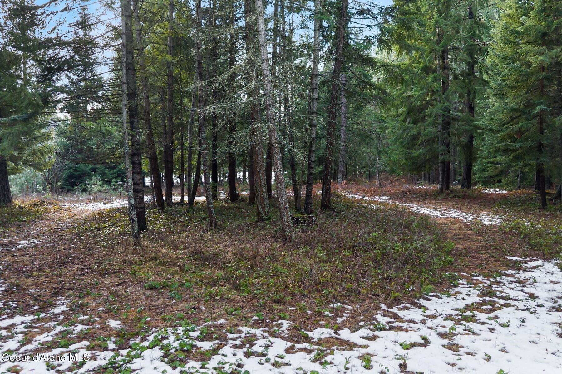 842 Samuels Road Sandpoint, ID 83864 - Photo 13 of 22 Enjoy Your Own Private Trails