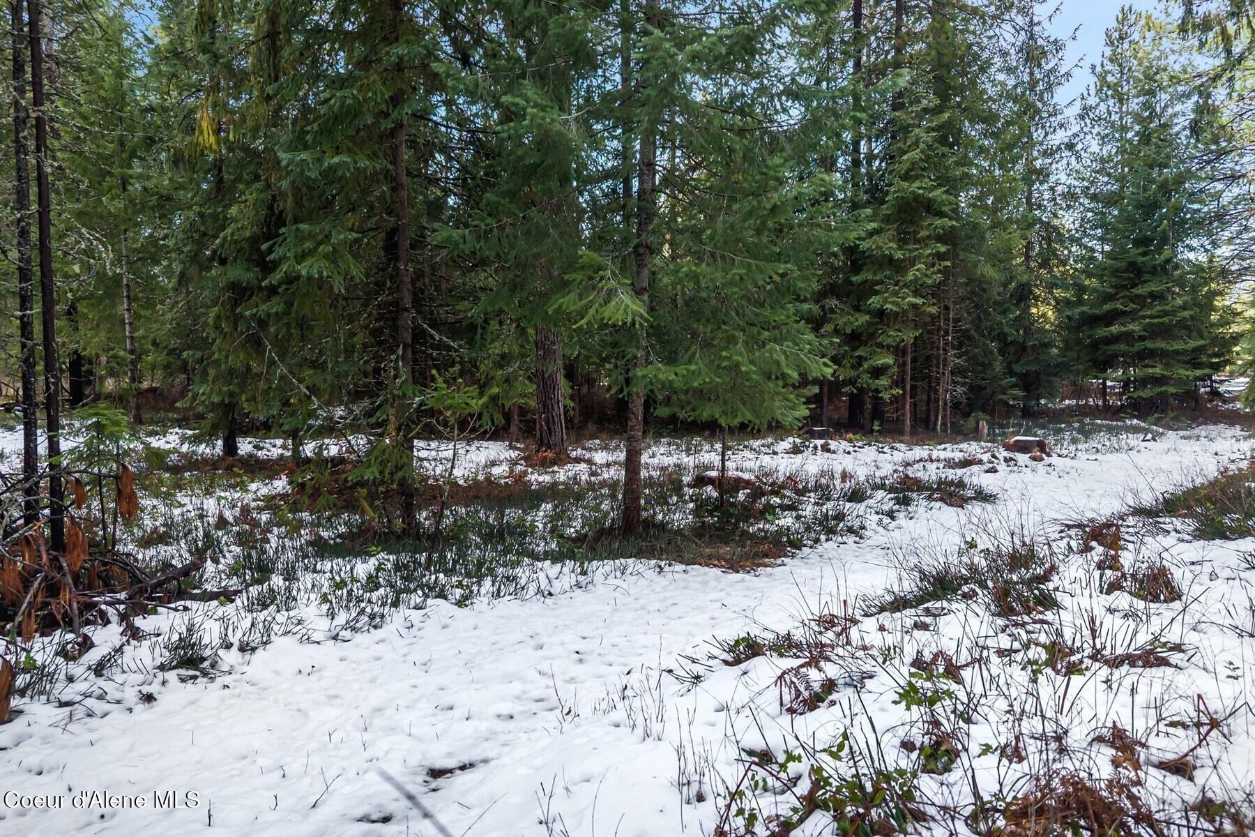 842 Samuels Road Sandpoint, ID 83864 - Photo 14 of 22 Enjoy Your Own Private Trails